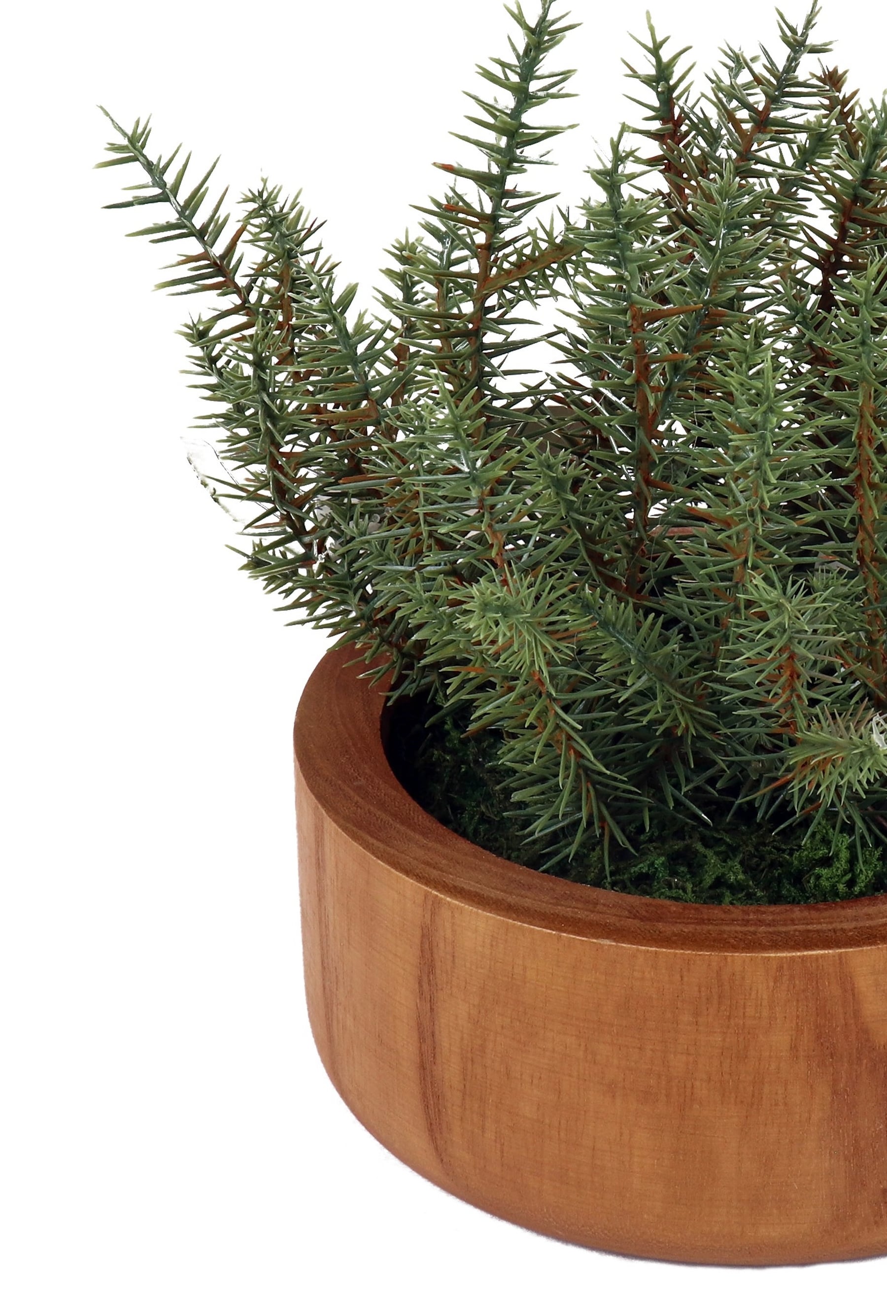 allen + roth 21LOW250 Artificial-Plants-Trees - View #9