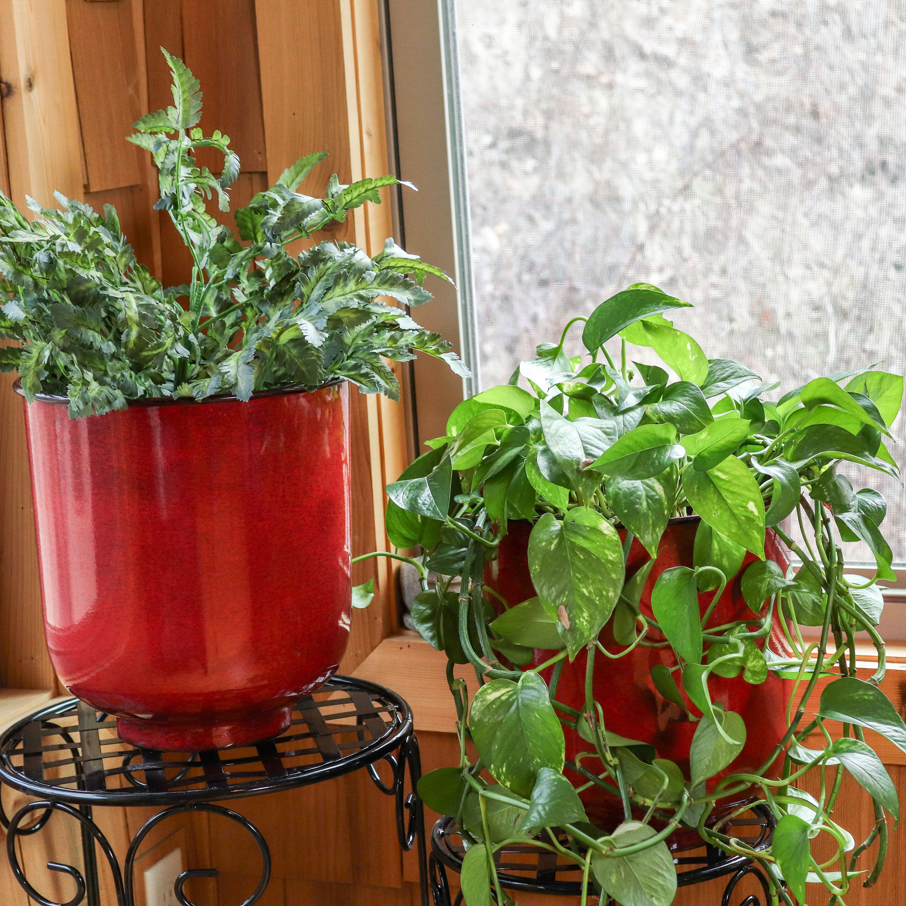 Sunnydaze Decor DRV-2294 Planter-Window-Box - View #2