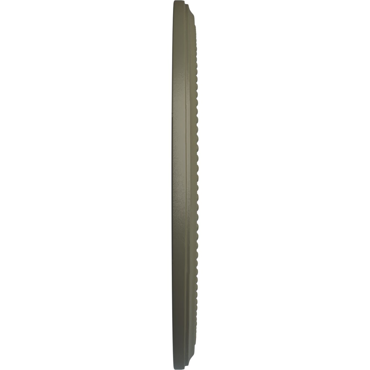 Ekena Millwork CM18DISSF Ceiling-Medallions - View #3
