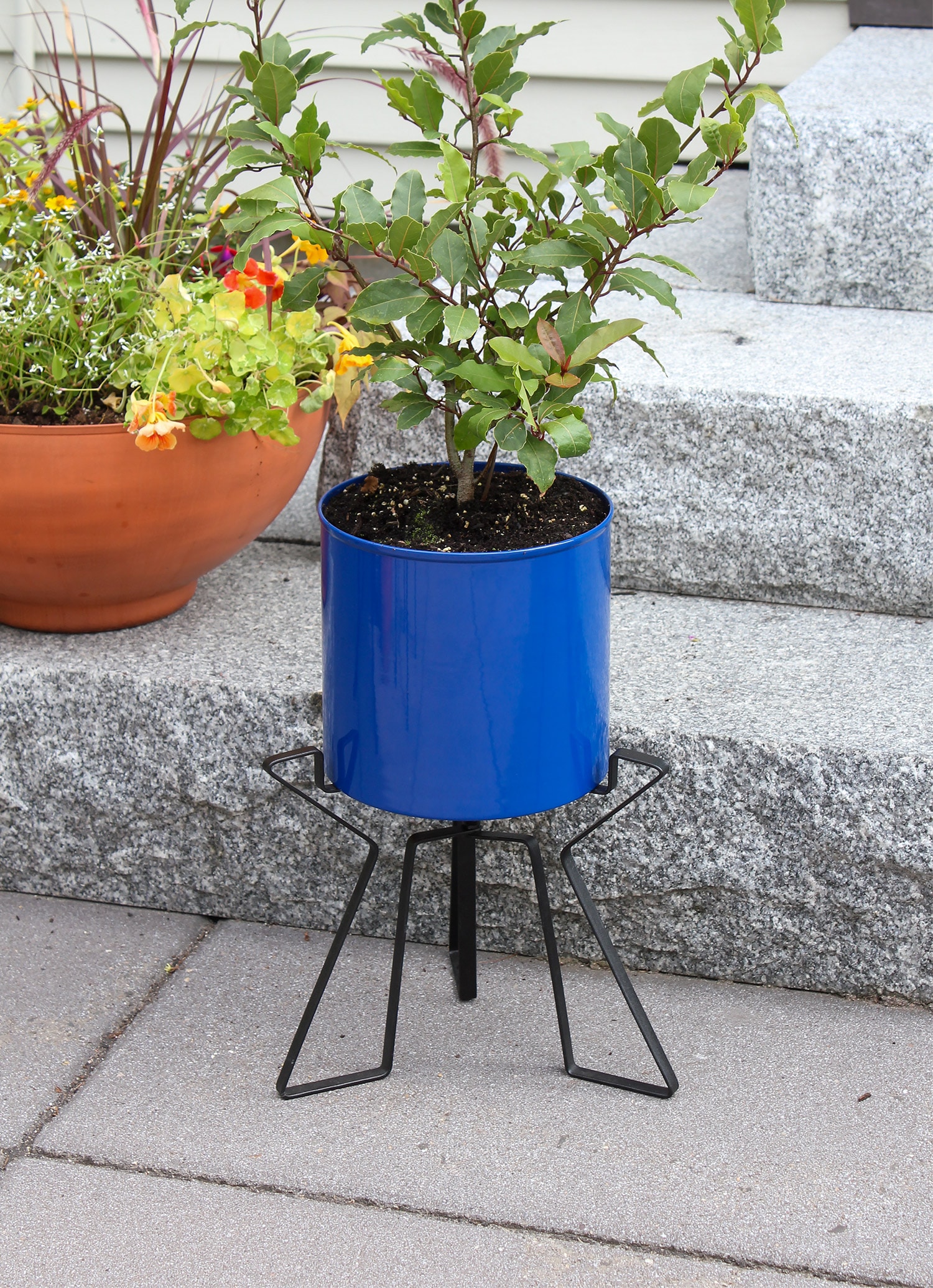 French Blue Galvanized Steel Planter with Black Wrought Iron Stand