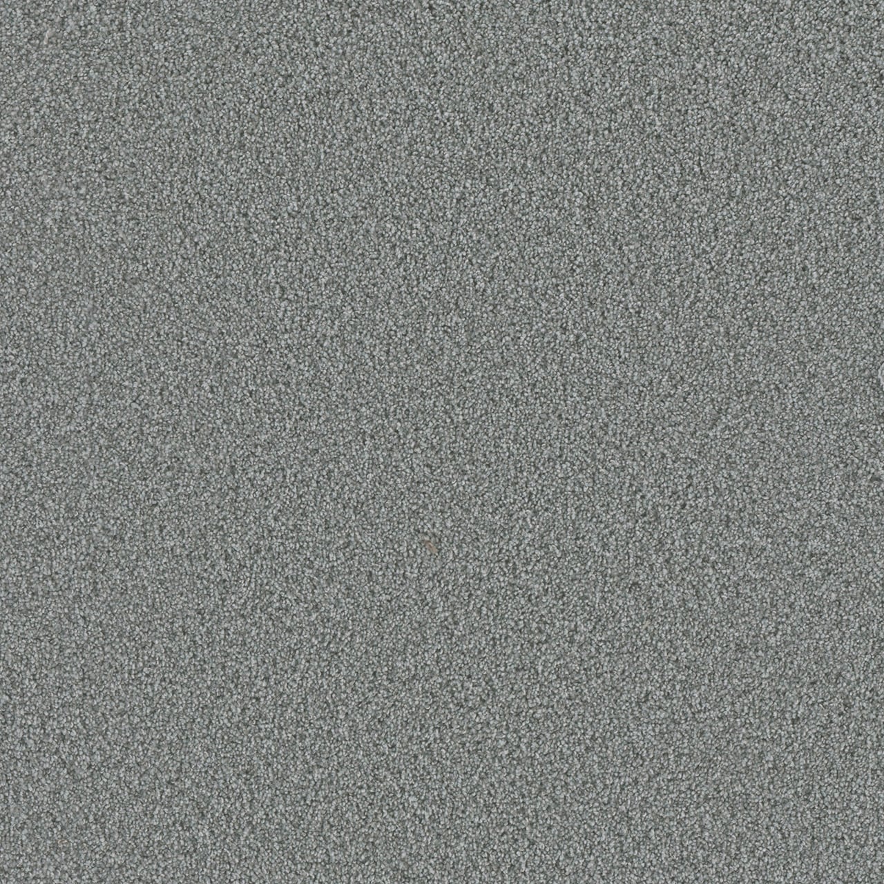 STAINMASTER L3002-103-1200-AB Raging Rapids II Eddy Gray 46-oz sq yard Solution-dyed polyester Textured Indoor Carpet