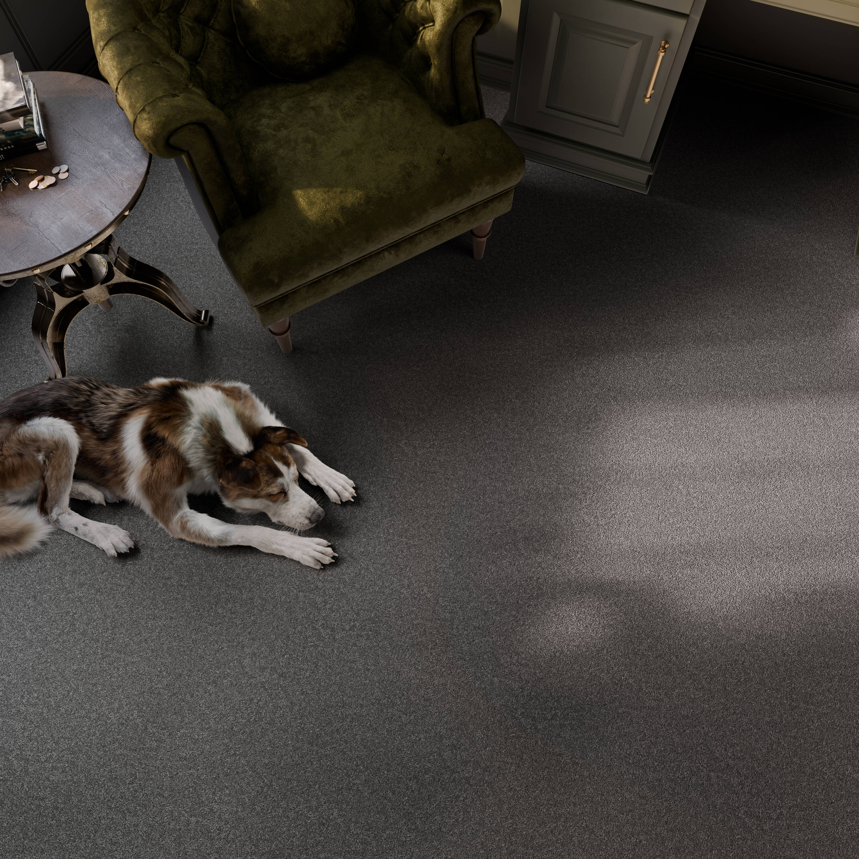 STAINMASTER PetProtect 7L974-502-SAMP Carpet-Samples - View #5