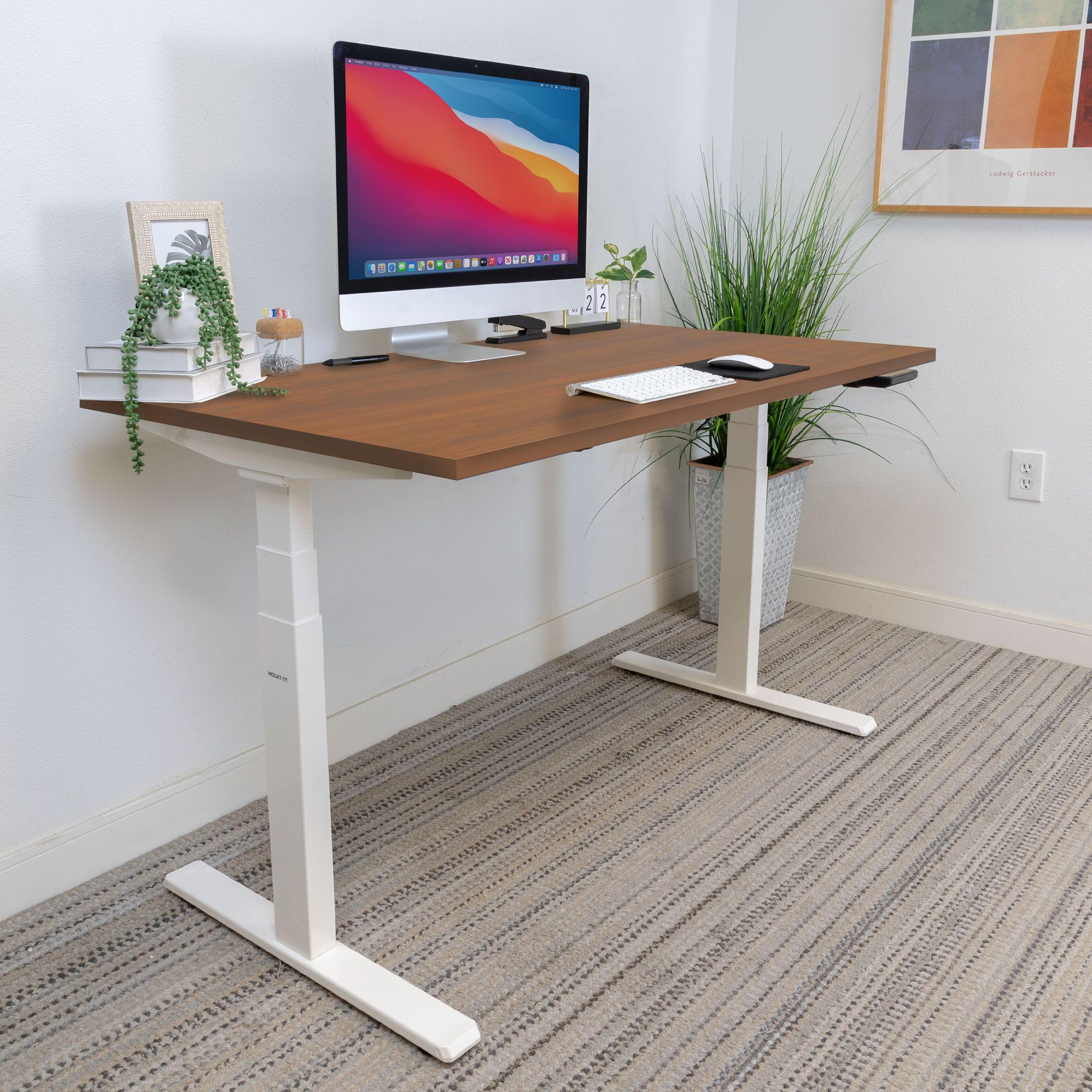 ErgoMaster Pro White Electric Sit/Stand Desk with Brown Top and Dual Motor