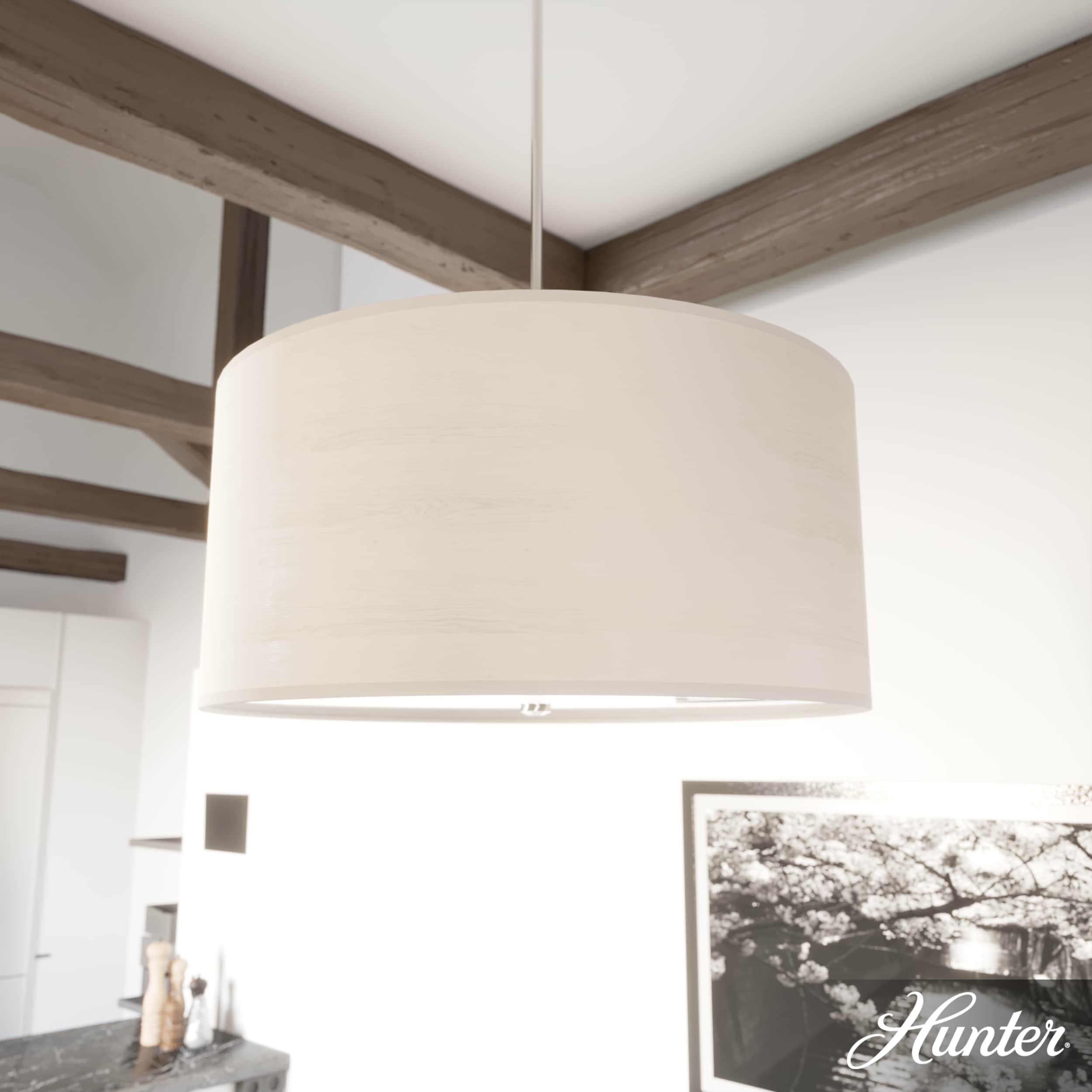 Hunter 19383 Pendant-Lights - View #3