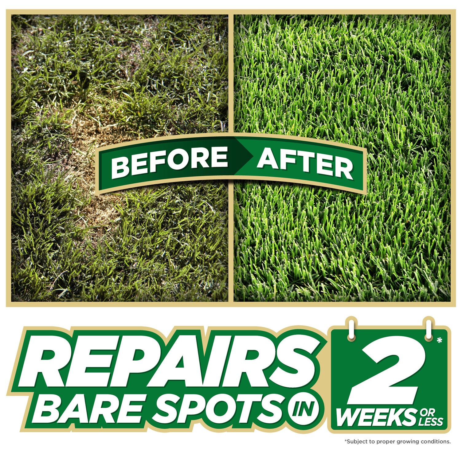 Pennington 2149637000 Lawn-Repair-Mix - View #2