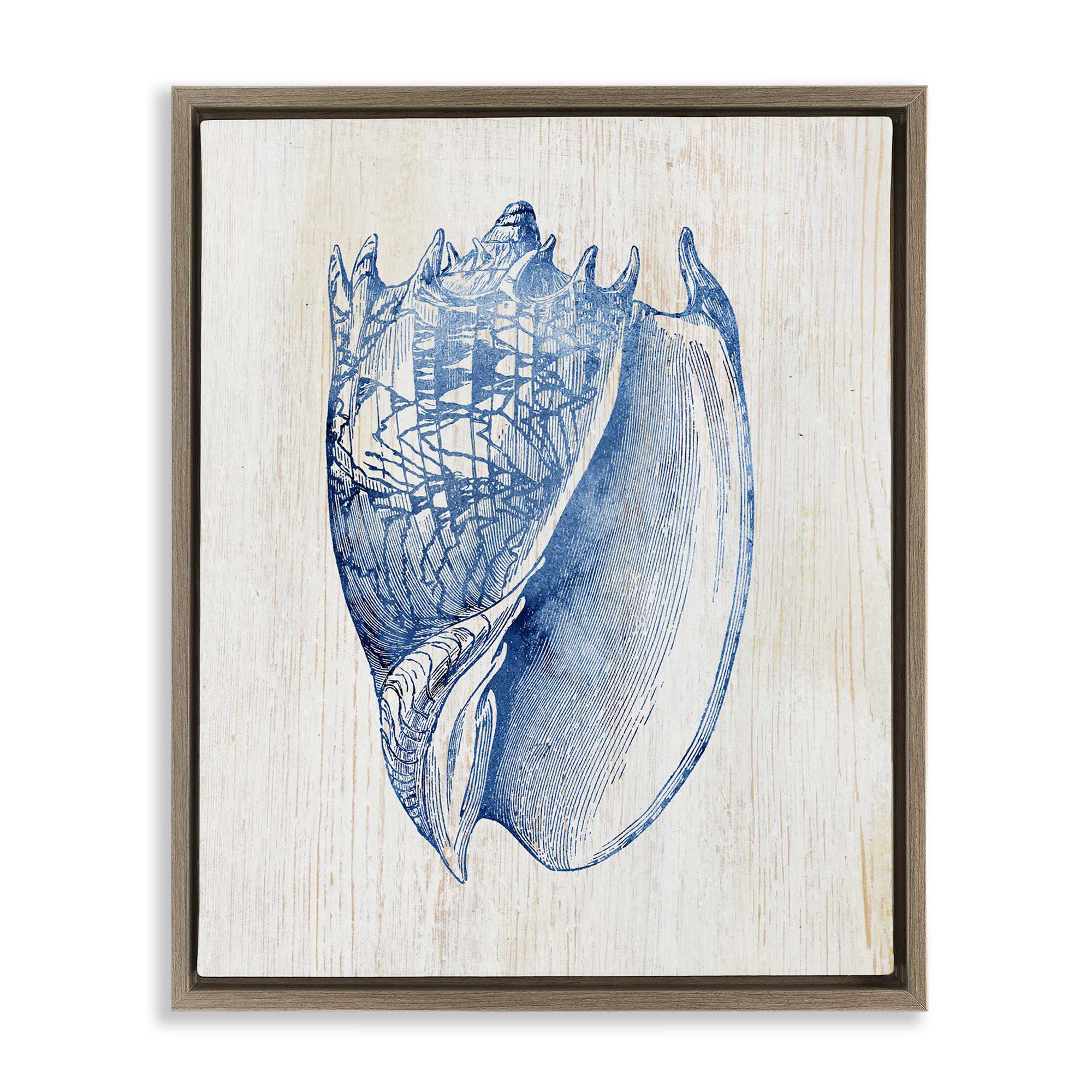 Stupell Industries BS-154-FFE-24X30 Nautical Soft Blue Conch Brown Framed Floater Canvas Wall Art By Susan Arnot 25 x 31