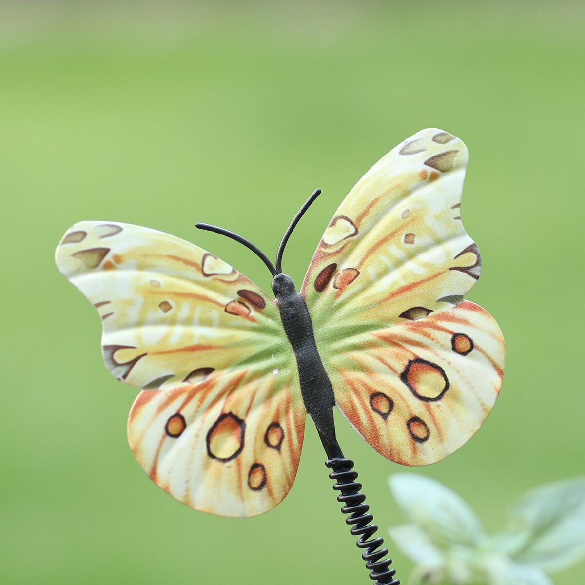 Centerpieces Moving - battery- Morpho Butterfly