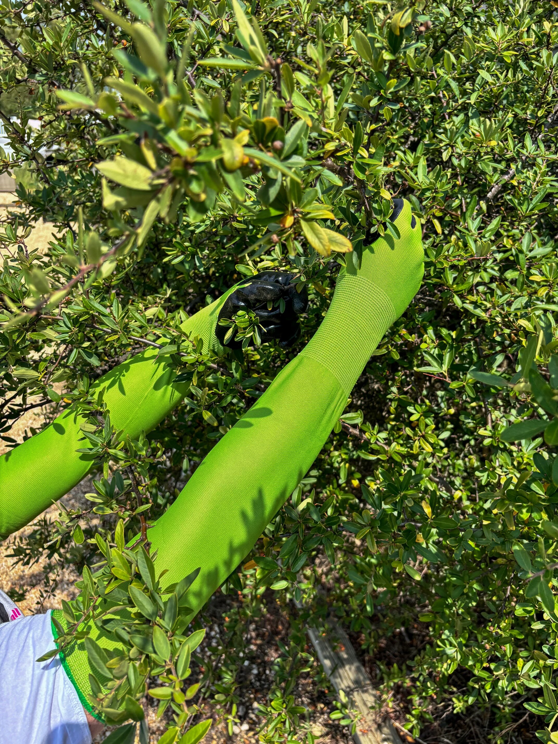 CHARGUY 7 Work-Gloves - View #19