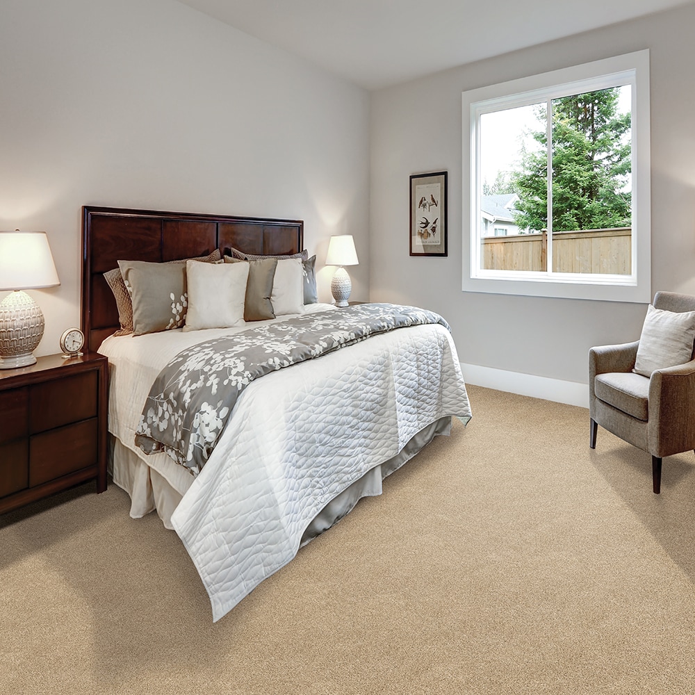 STAINMASTER SS040-12-L010 Carpet-Panel - View #2