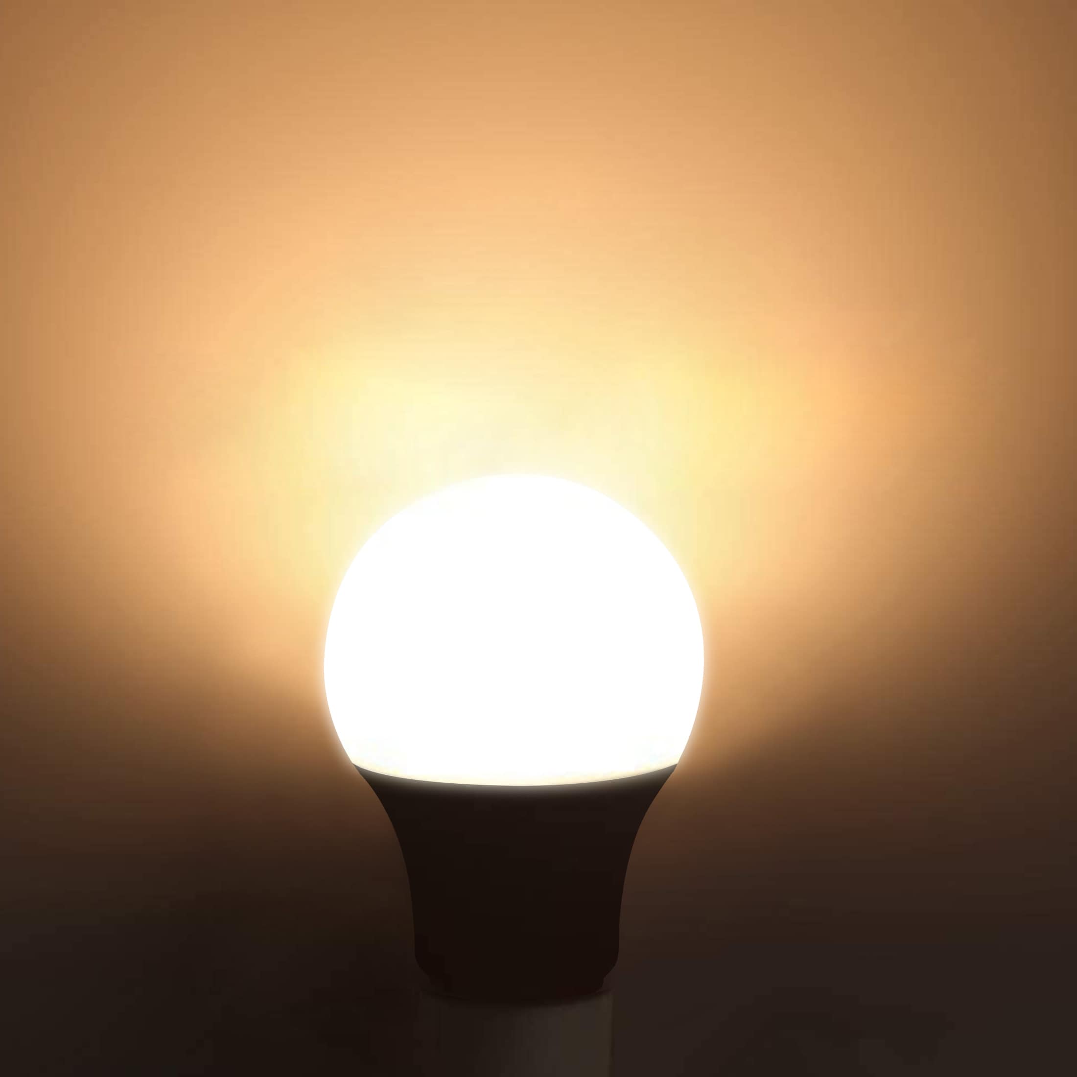 Homdec L9-A19DG-9W-3000K Led-Lights - View #5