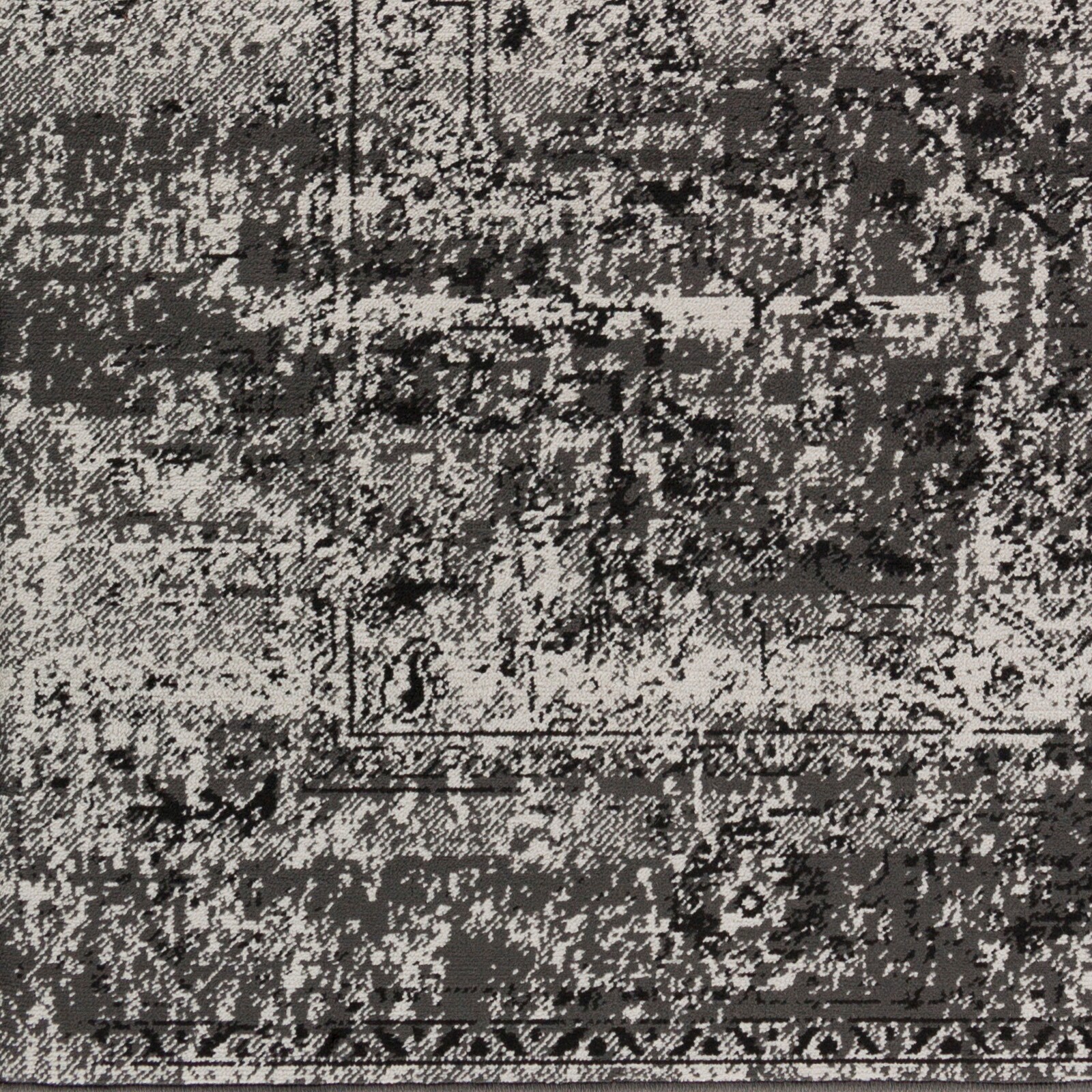 Surya PAR1060-810129 rugs - View #4