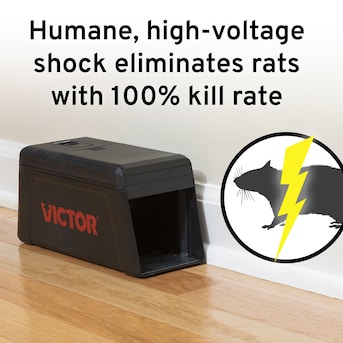  Victor M2 Smart-Kill Humane Wi-Fi Enabled Electronic Rat Trap  Killer : Patio, Lawn & Garden