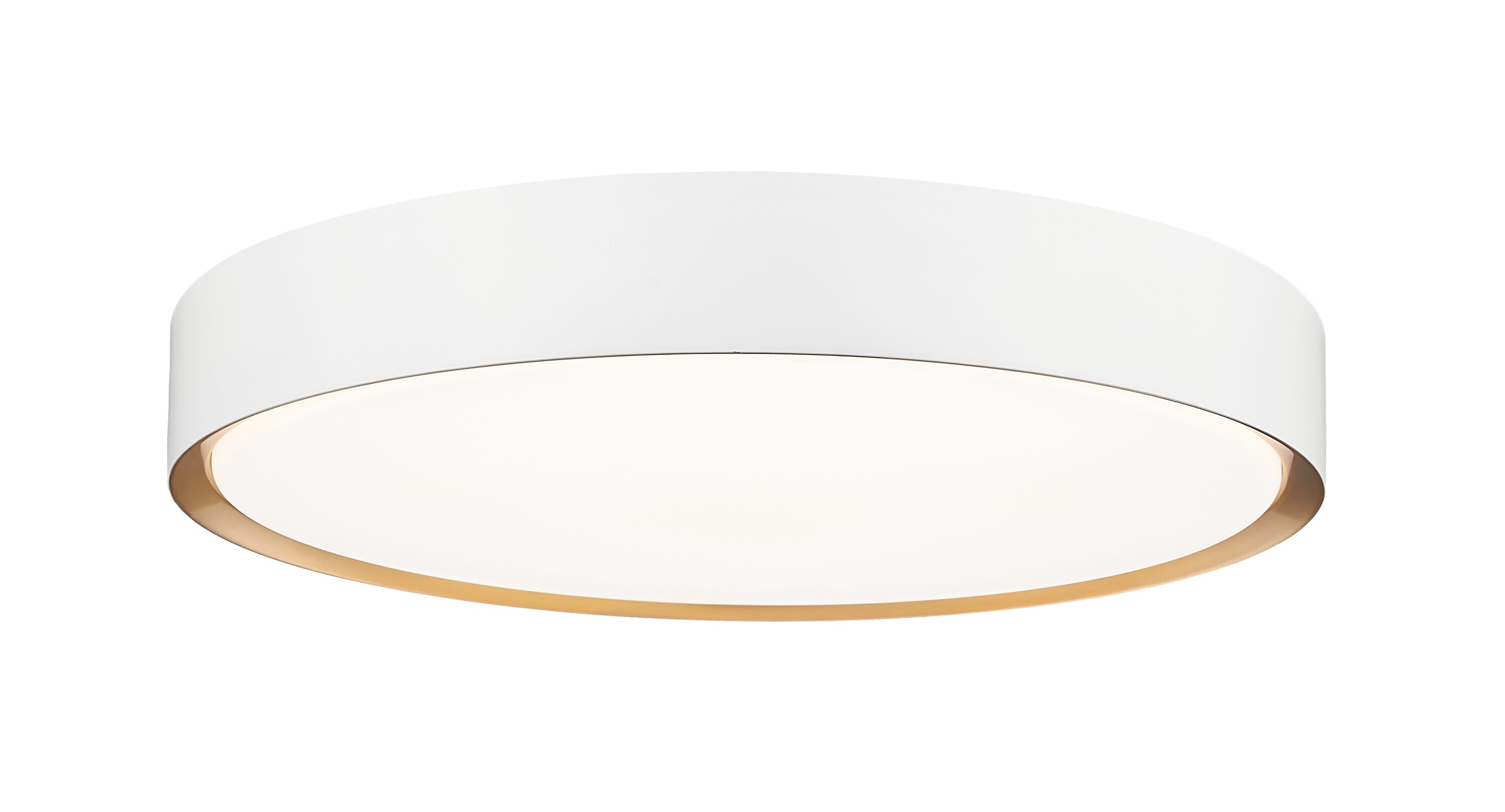 Z-Lite 1014F20-MW-MGLD-LED flushmounts - View #2