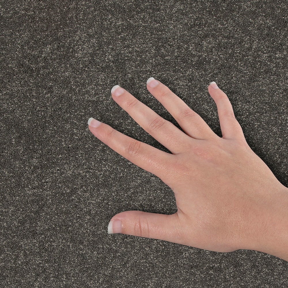 STAINMASTER SS030-L010-0808 Carpet-Samples - View #4