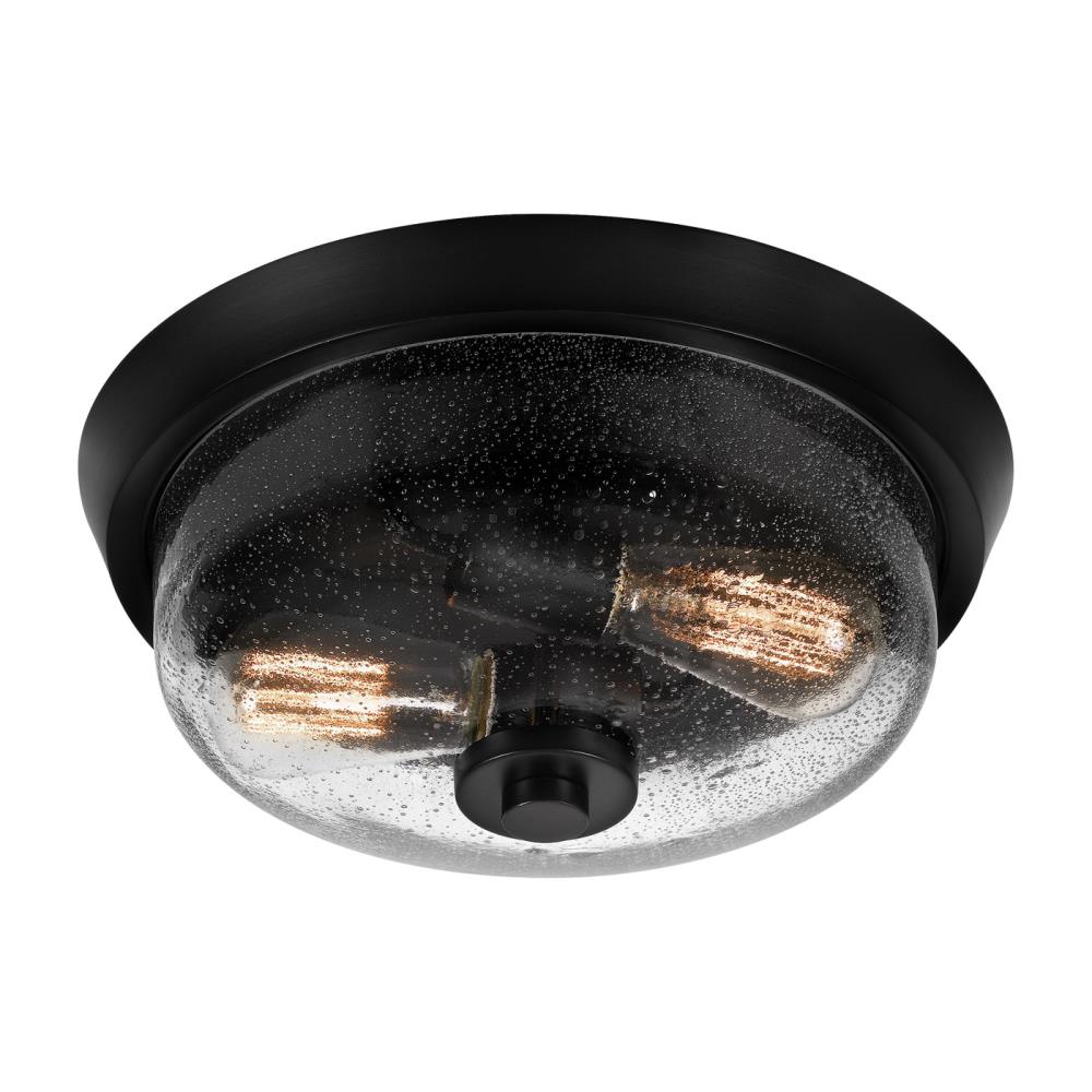 Radius Black Glass 2-Light Indoor/Outdoor Flush Mount Ceiling Light