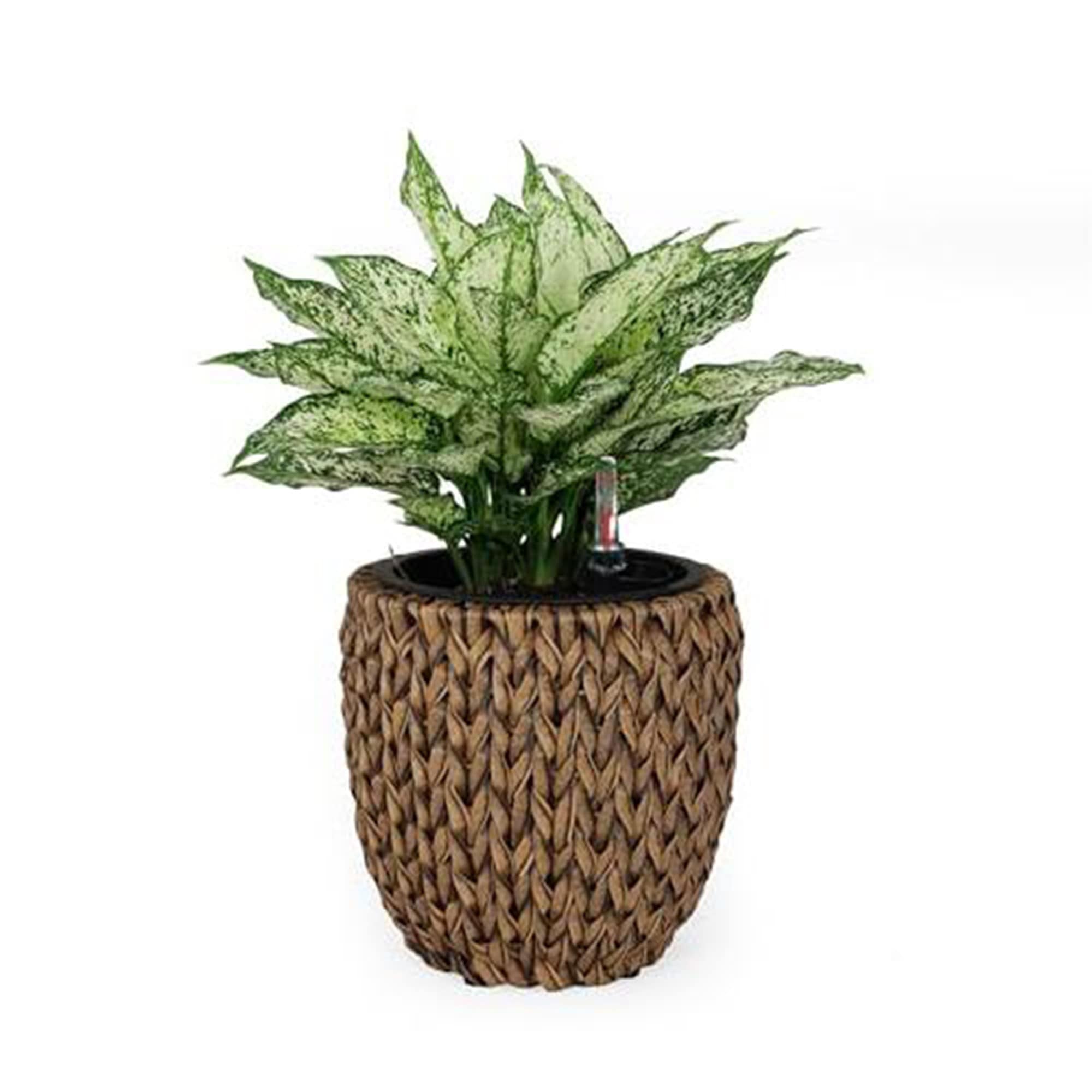 Yiekholo LL-1687AA Planter-Window-Box - View #2