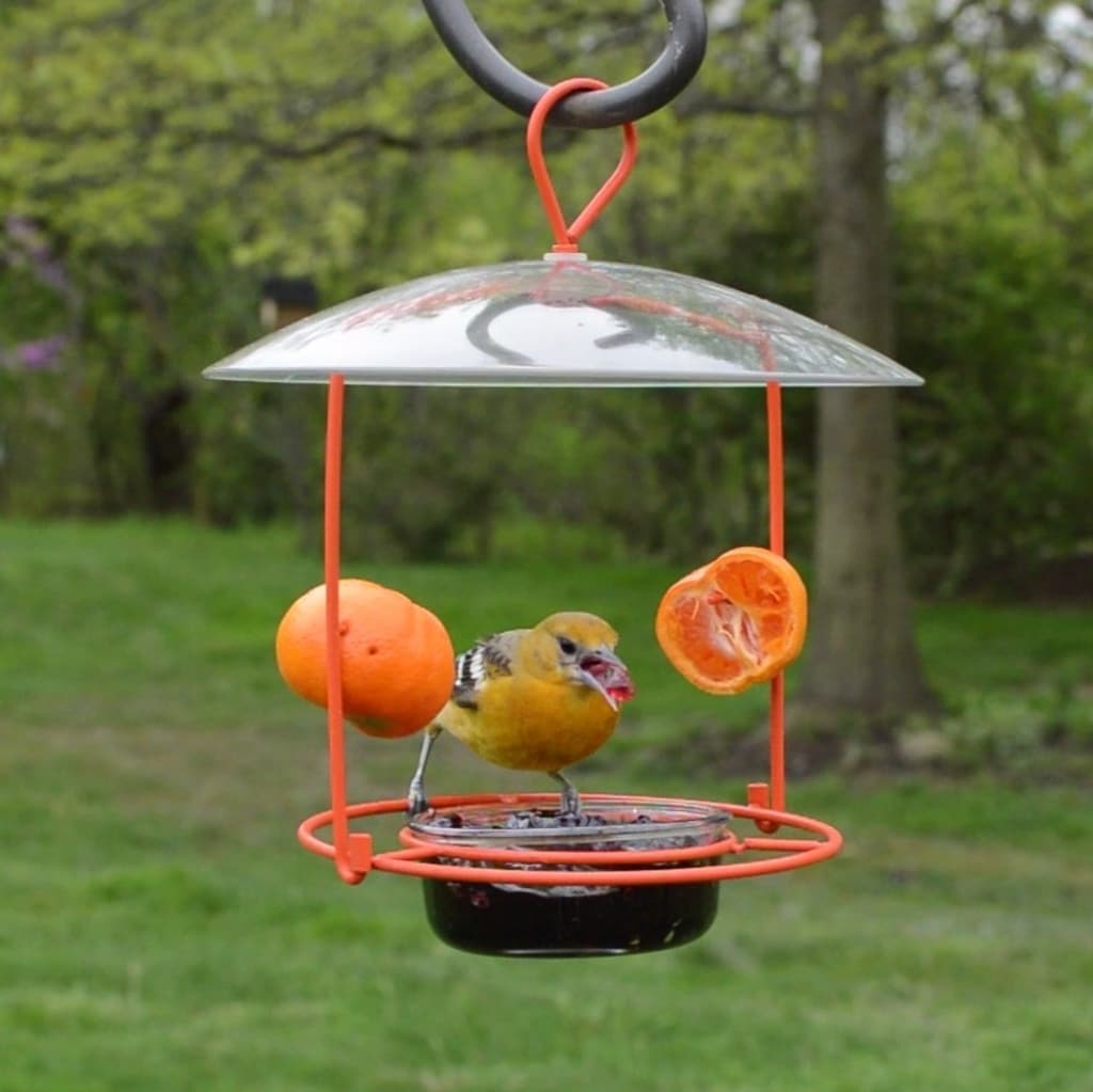 Nature's Way OFM1-CP1 Bird-Feeders - View #4