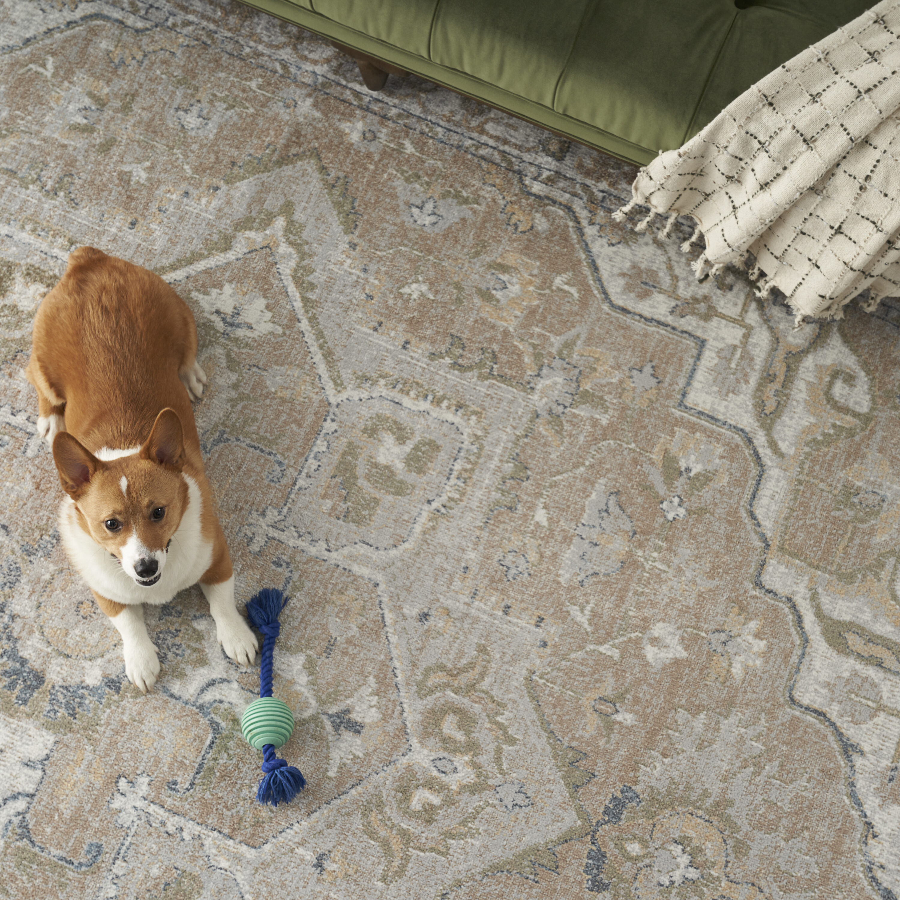 Nourison 099446125880 rugs - View #8