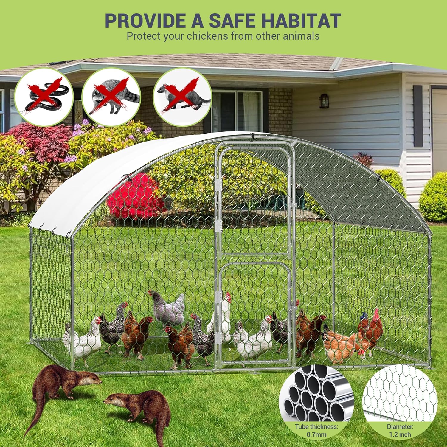 WhizMax BY02-PPG-333LWPT3 Chicken-Coops-Rabbit-Hutches - View #5