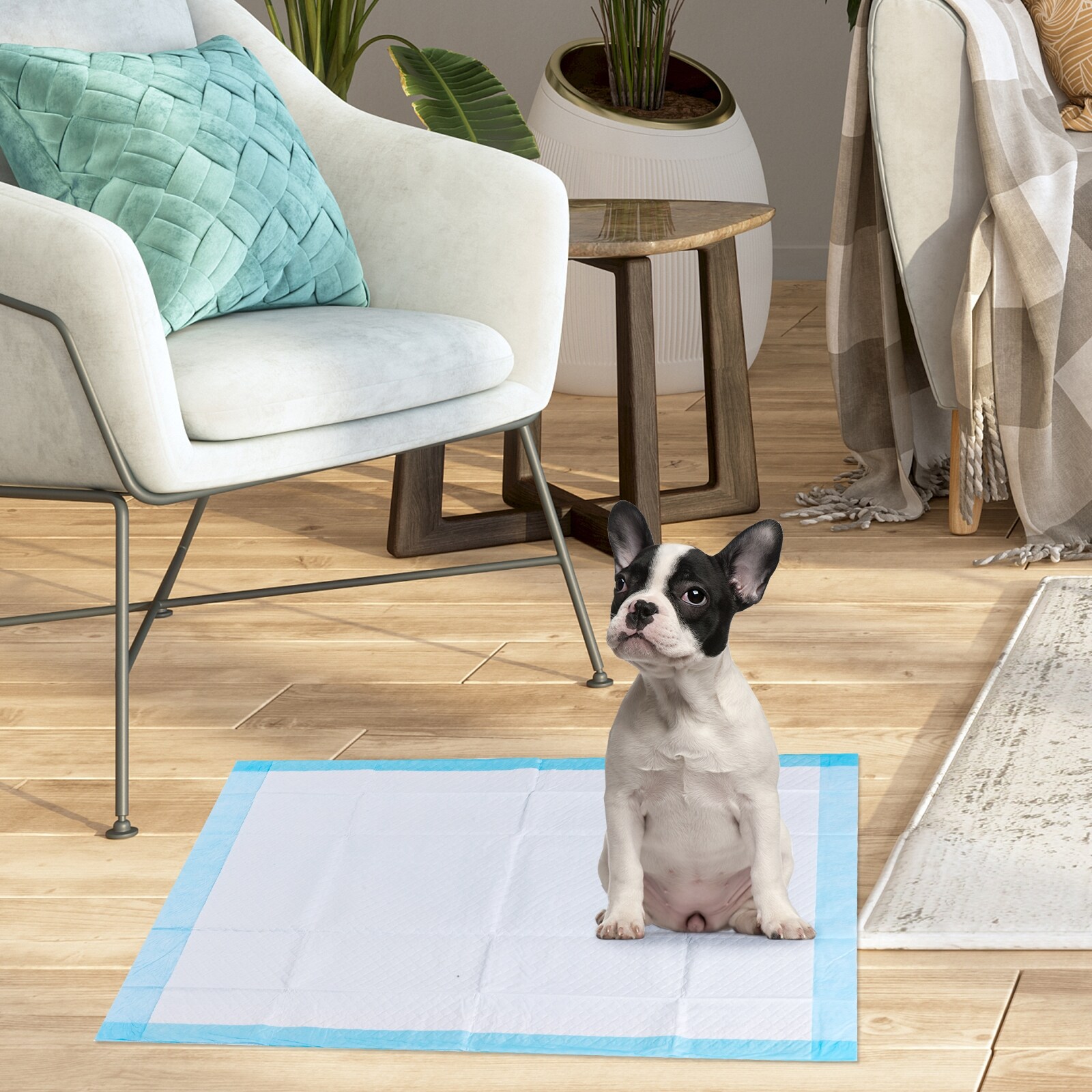 Slickblue D-CO-5016SP Puppy-Pads - View #2
