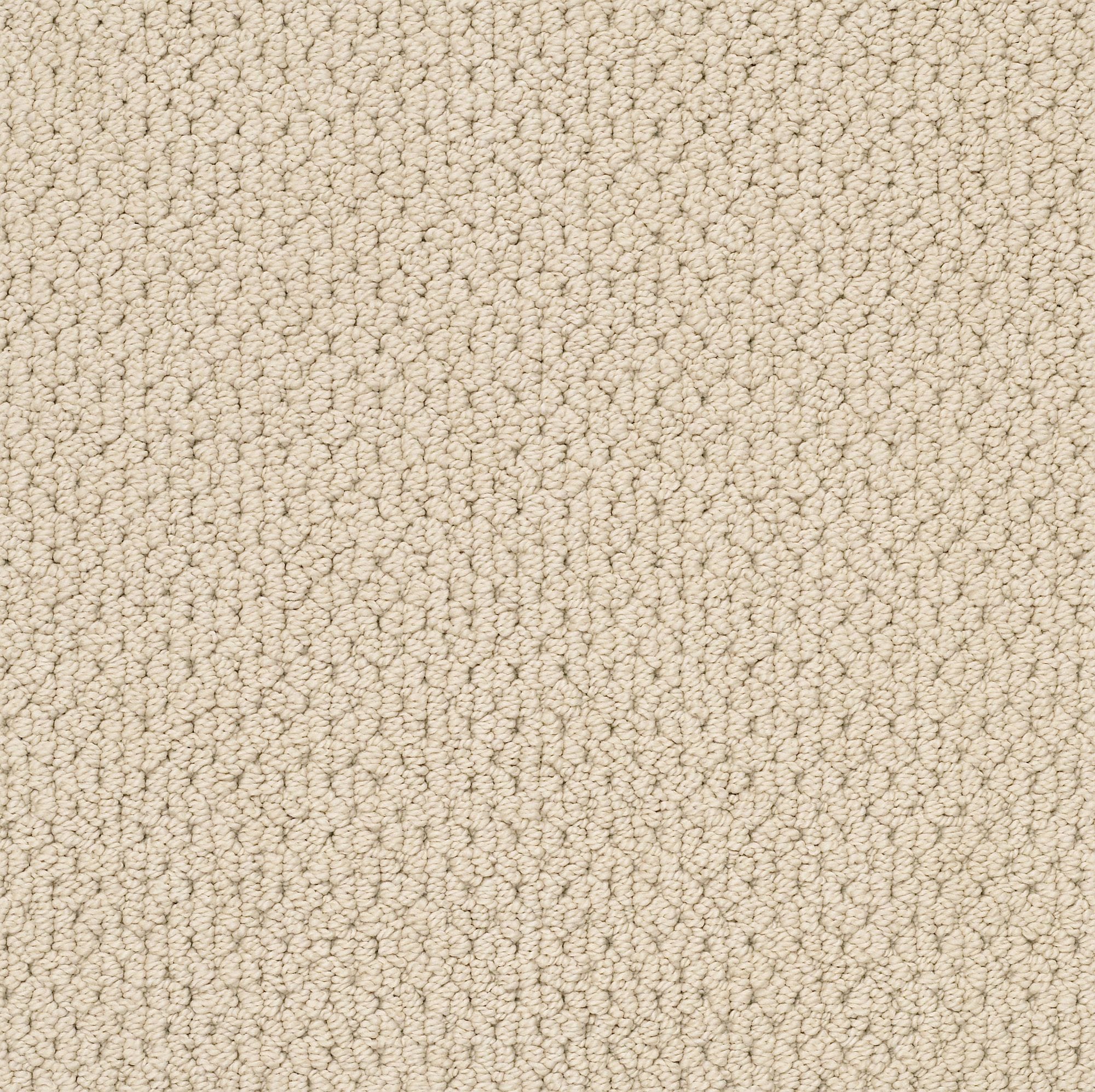 STAINMASTER 7L873 - 124 - SAMP (Sample) Regenerating Beach Haven Brown 34.1-oz sq yard Nylon Textured Indoor Carpet