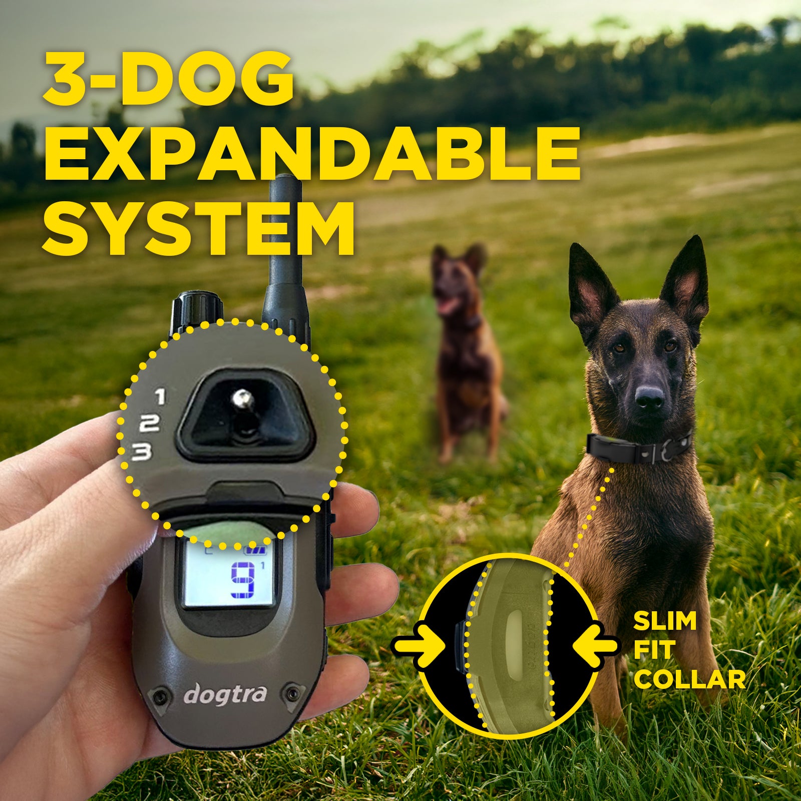 Dogtra 644622021151 Pet-Training-Collars - View #8