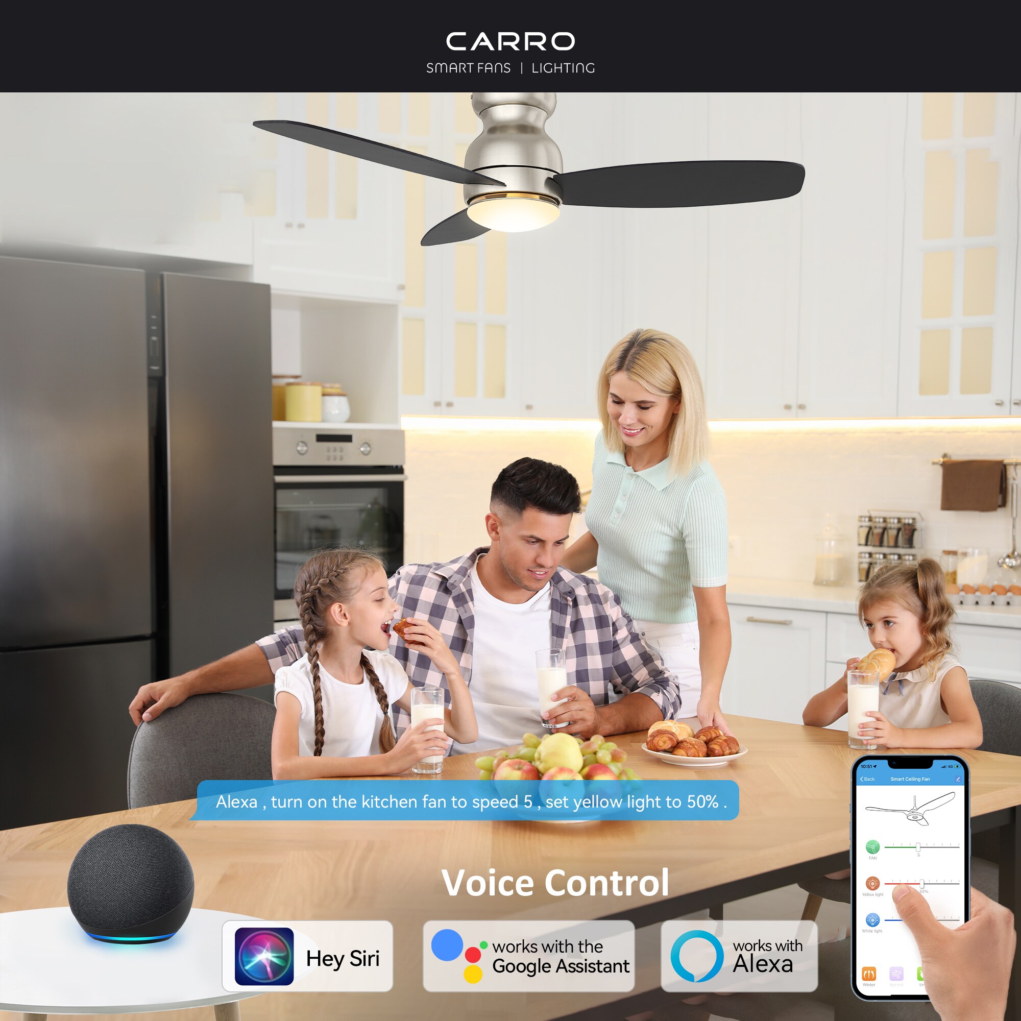 CARRO USA LS483Q-L12-S2-1 Ceiling-Fans - View #2