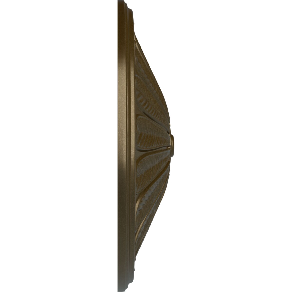 Ekena Millwork CM25BRBRS Ceiling-Medallions - View #3