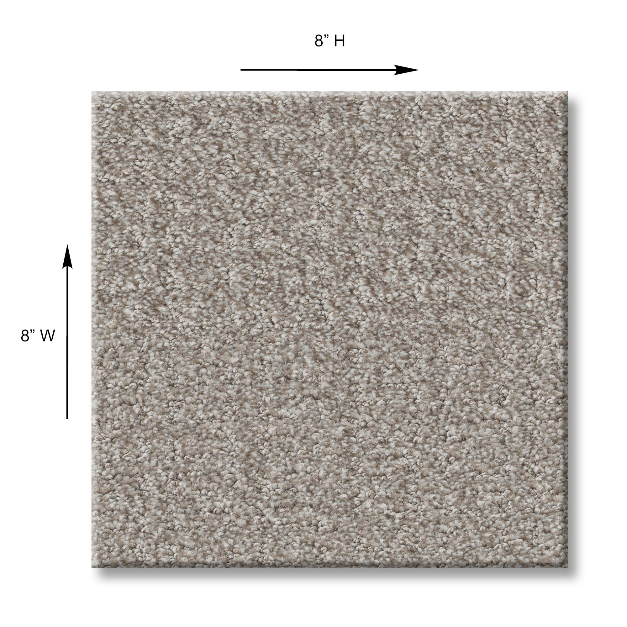 STAINMASTER PetProtect 7L932-114-SAMP Carpet-Samples - View #10