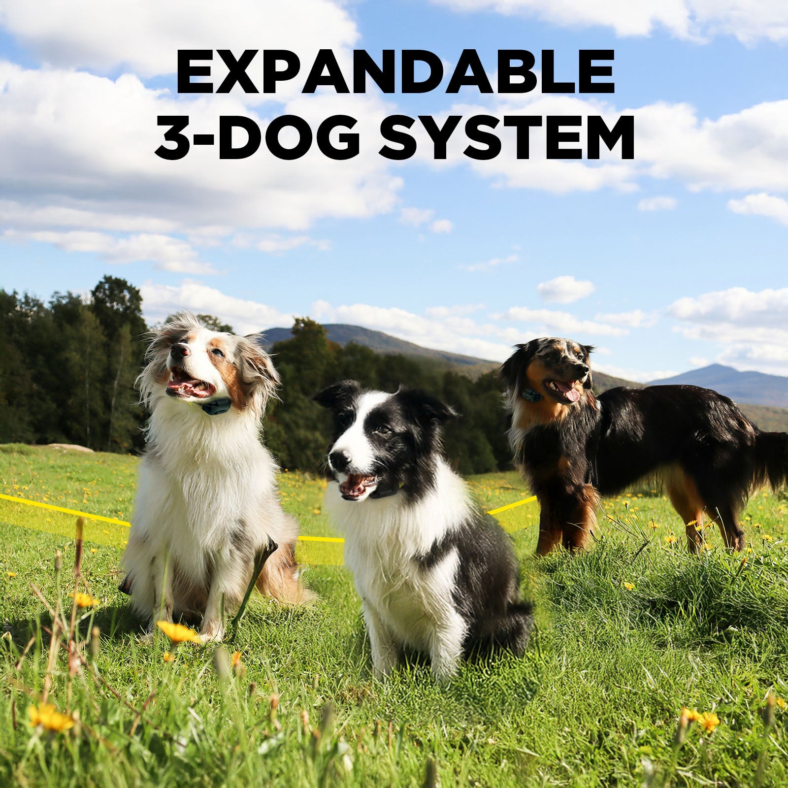 Dogtra 644622060075 Wireless-Pet-Fence - View #12