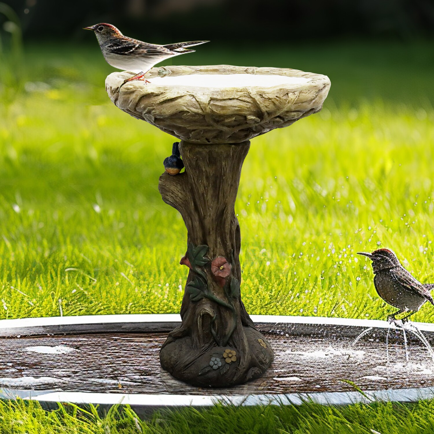 Watnature SJ30027 birdbaths - View #8