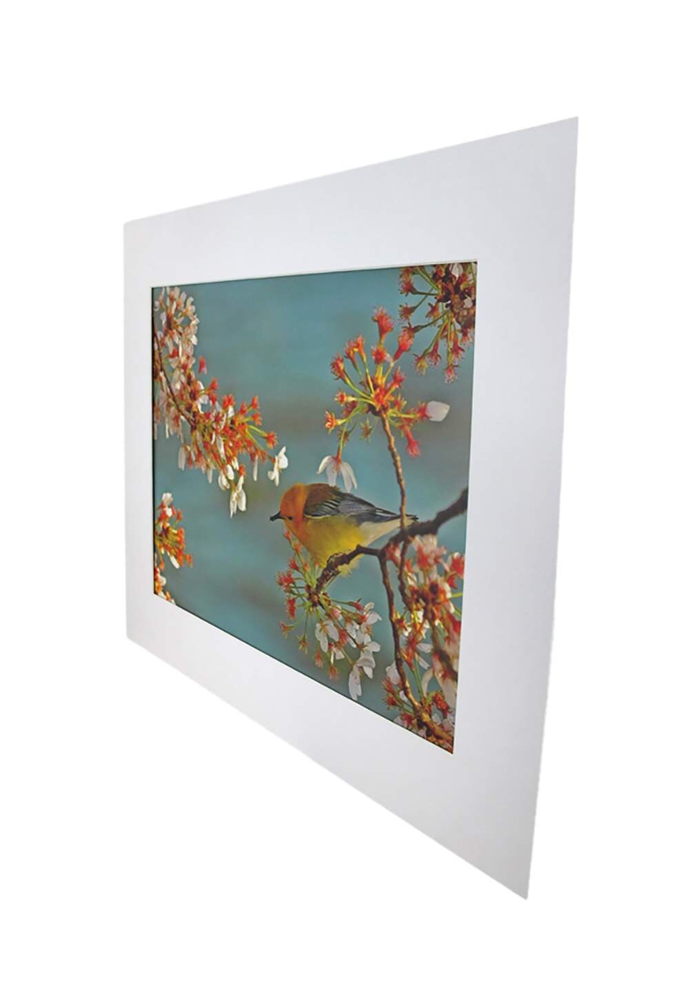 National Geographic 4131891 Wall-Art - View #2