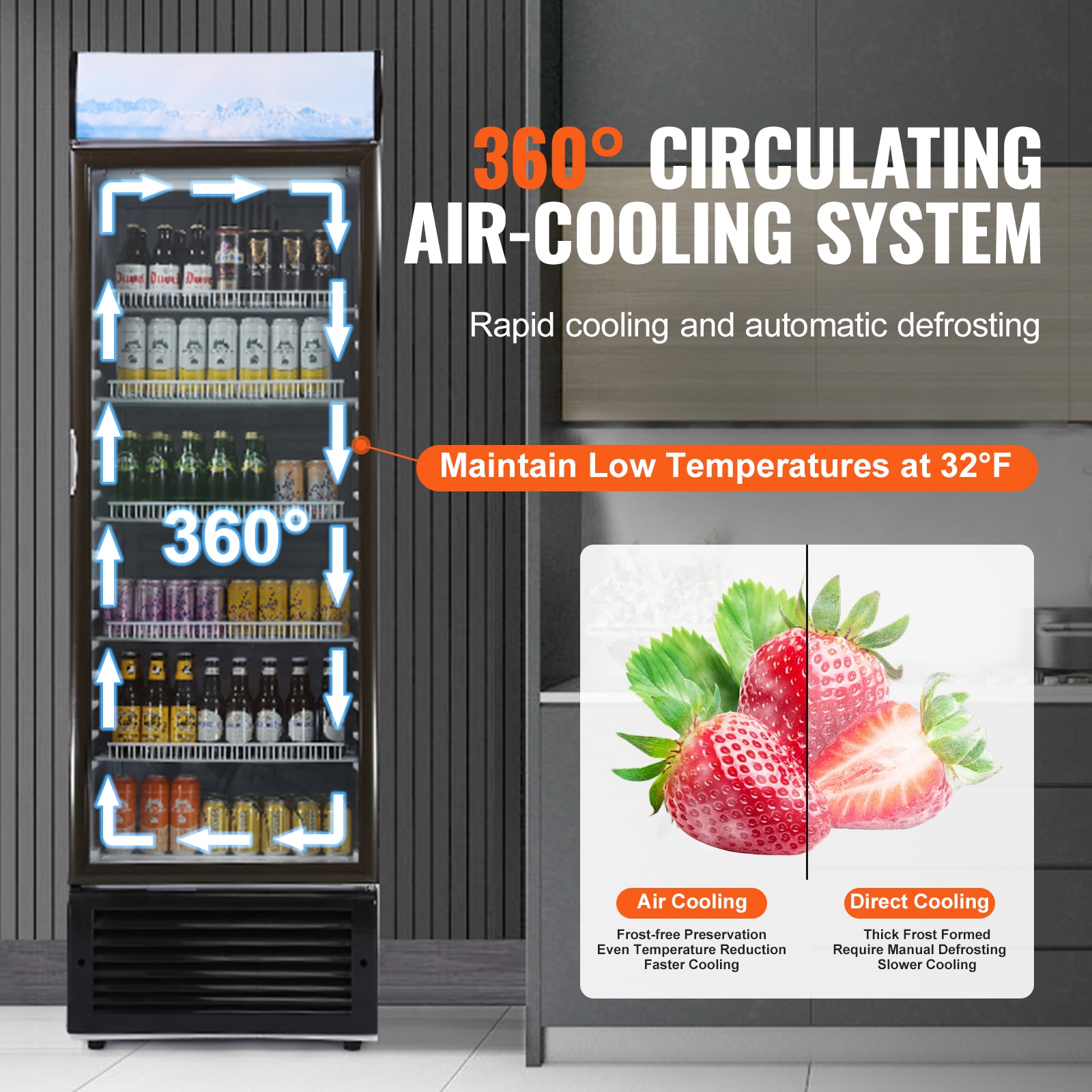 VEVOR SCDMYLZSBX1401687V1 Commercial-Refrigerators - View #5