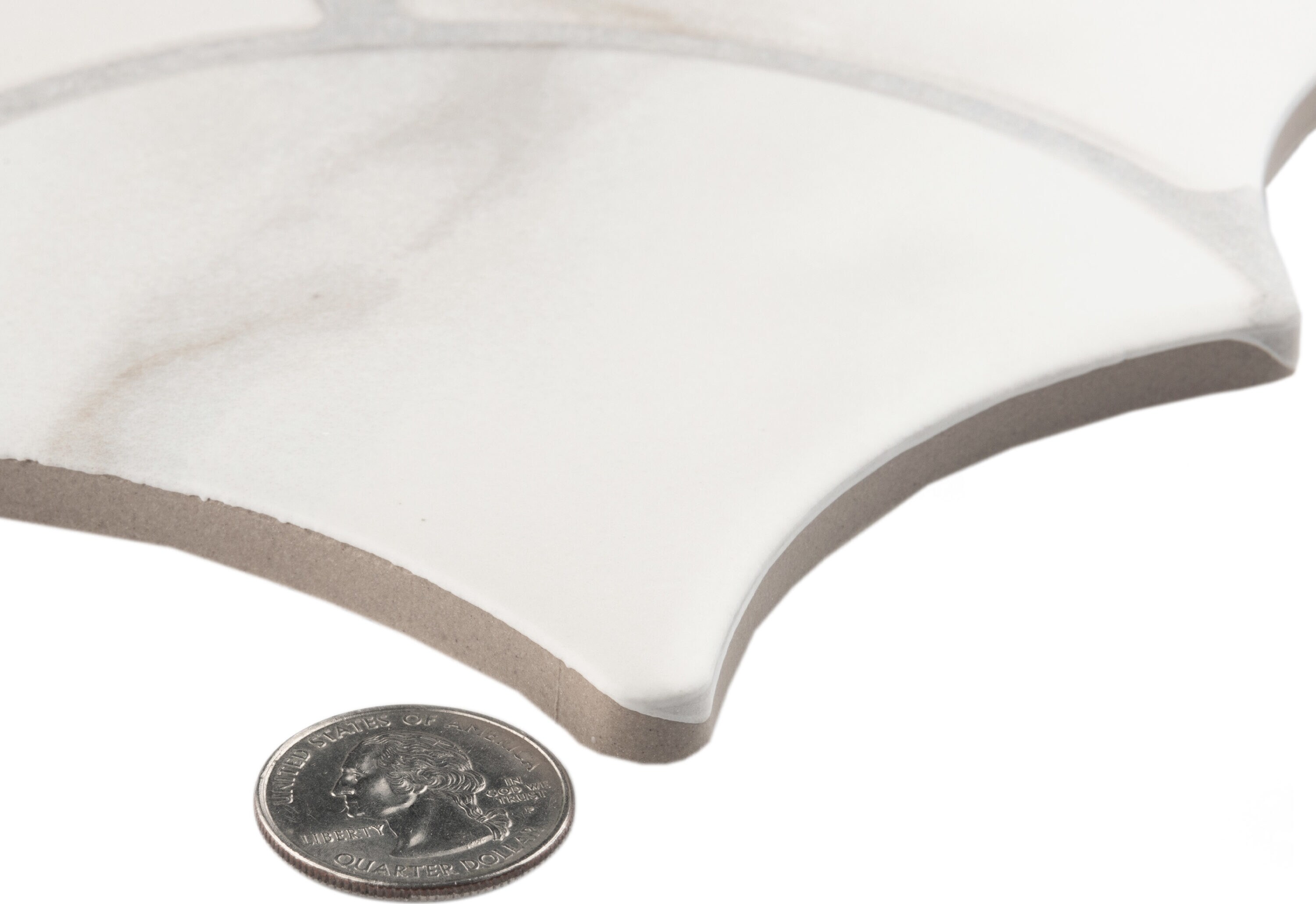 Affinity Tile S1FRL12SCST Tile-Samples - View #4