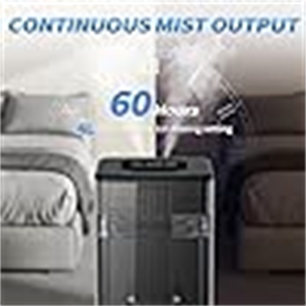 EdenDirect NYDE241126 t040290 - View #6