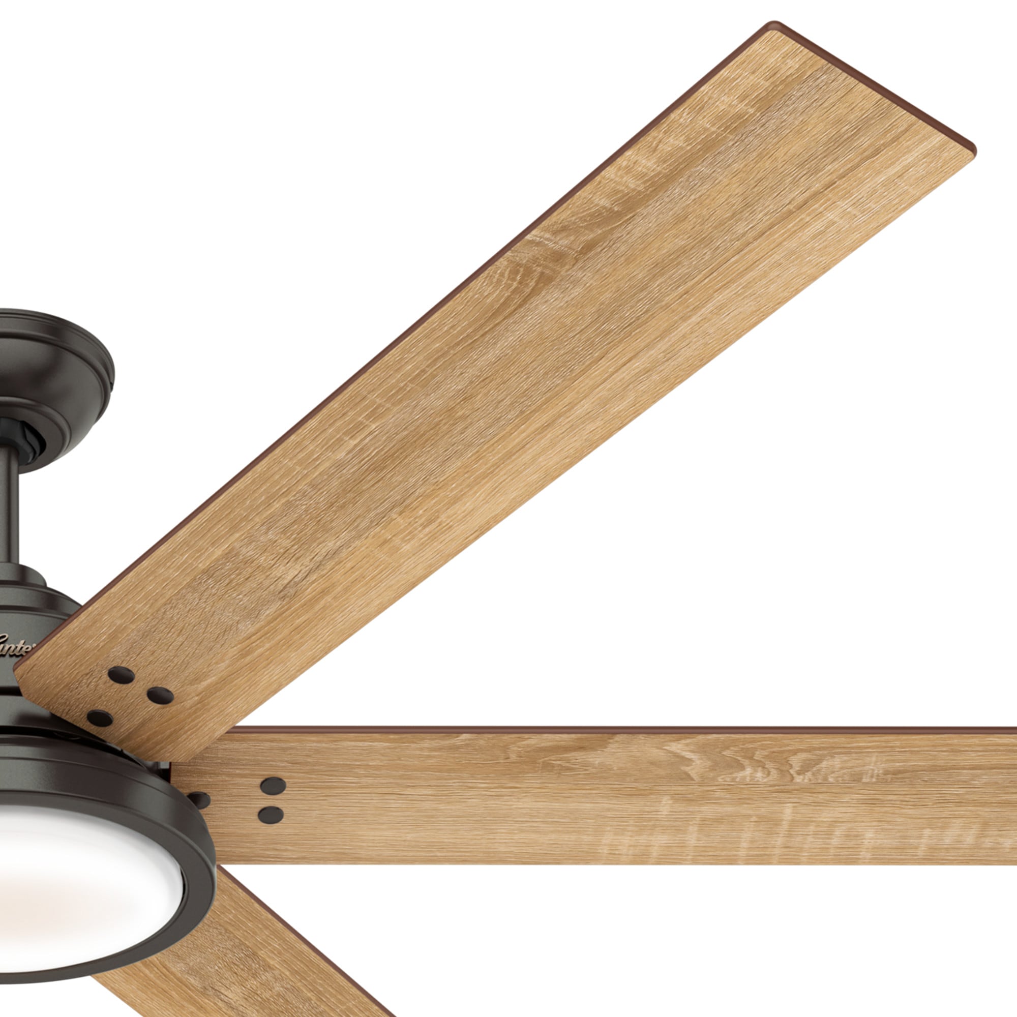 Hunter 59397 Ceiling-Fans - View #8