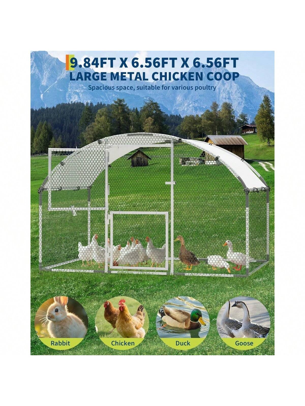 Qeetex BY-PPG-338LJ8VP Outdoor-Kennel-Accessories - View #3