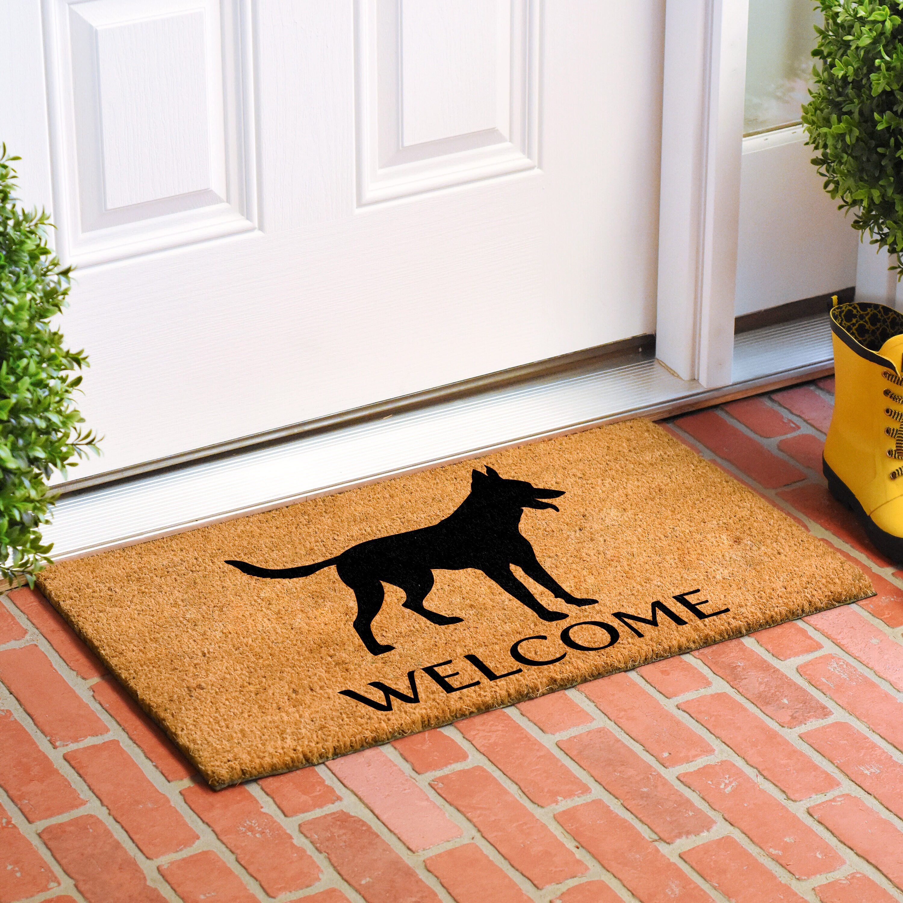Callowaymills 106861729 Mats-Cat - View #2