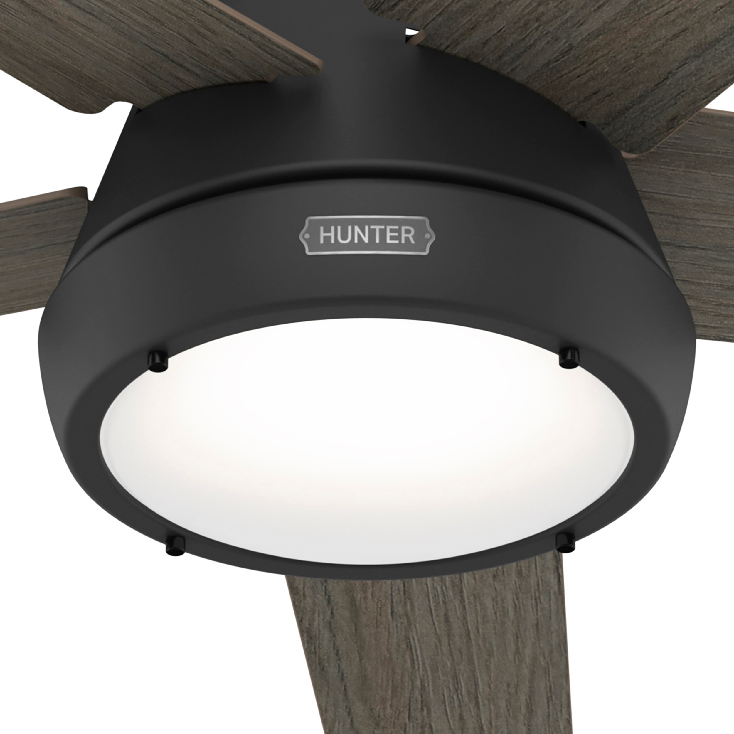 Hunter 52422 Ceiling-Fans - View #12