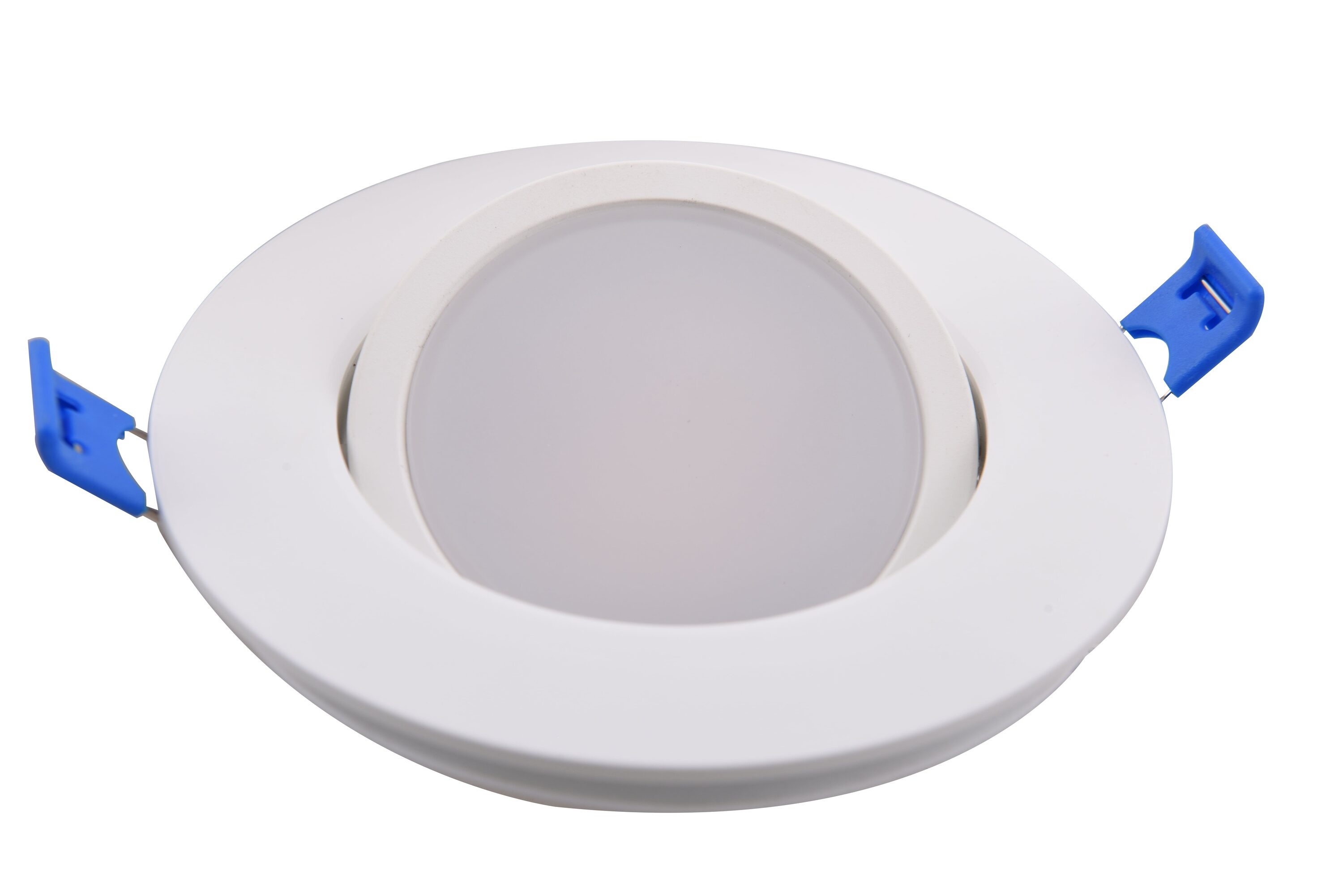 Green Watt White 4-in Switchable White Round Dimmable LED Canless Damp ...