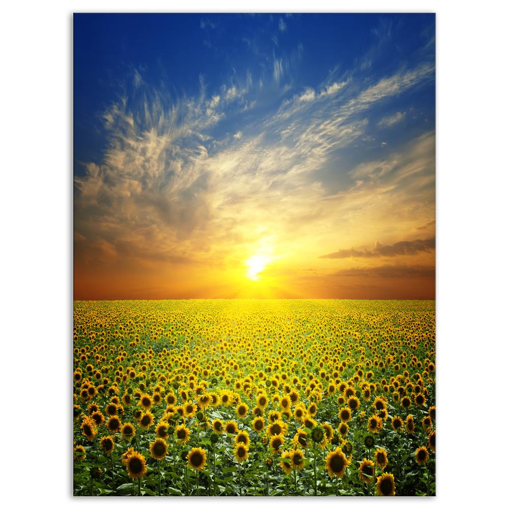 Designart PT14226-12-20 20-in H x 12-in W Floral Print on Canvas