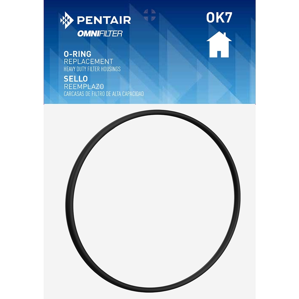 Pentair OK7-DC6-S18 Black Disinfection O-ring