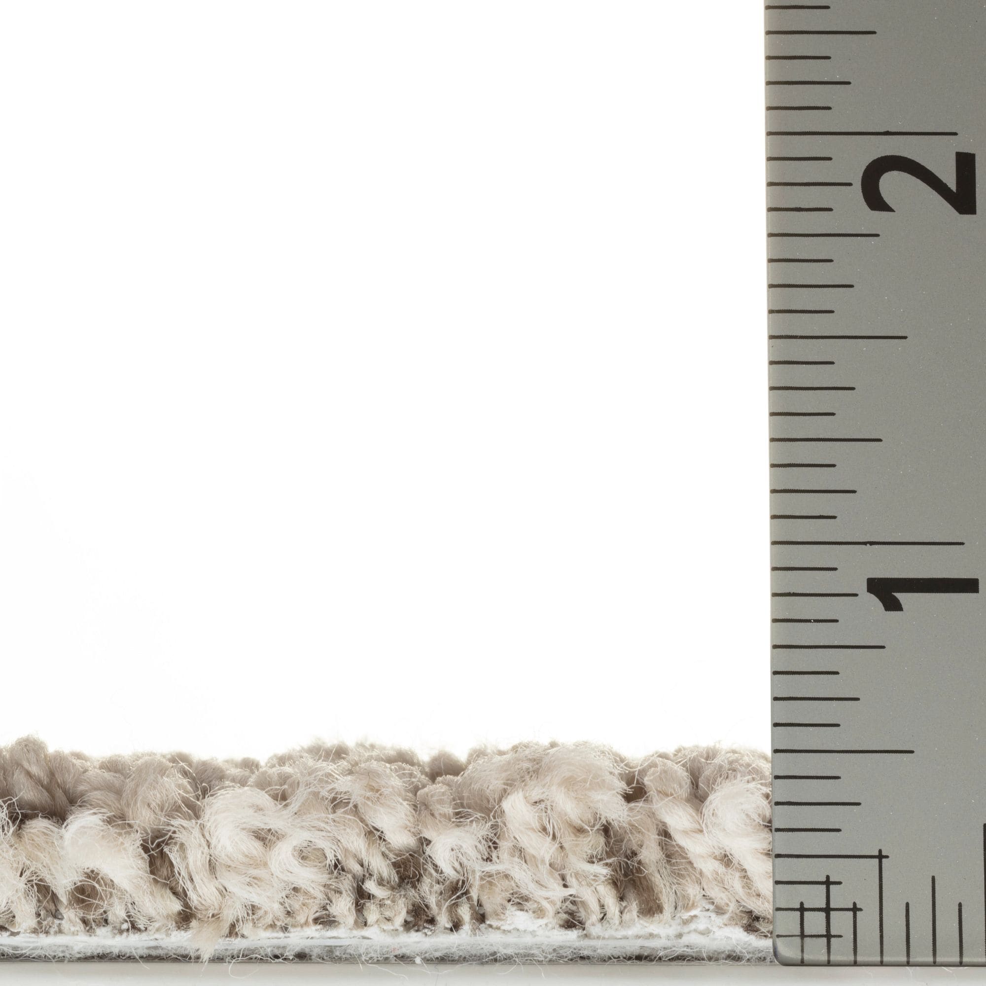STAINMASTER 7L877 - 113 - SAMP Carpet-Samples - View #5