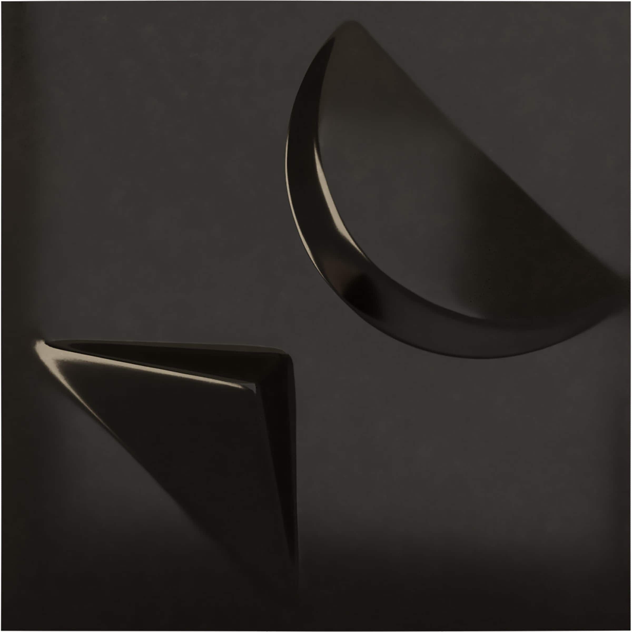 Ekena Millwork WP12X12APECA 11-7/8-in x 11-7/8-in Embossed Paintable/Stainable Black PVC Wall Panel ( 0.98-sq ft )