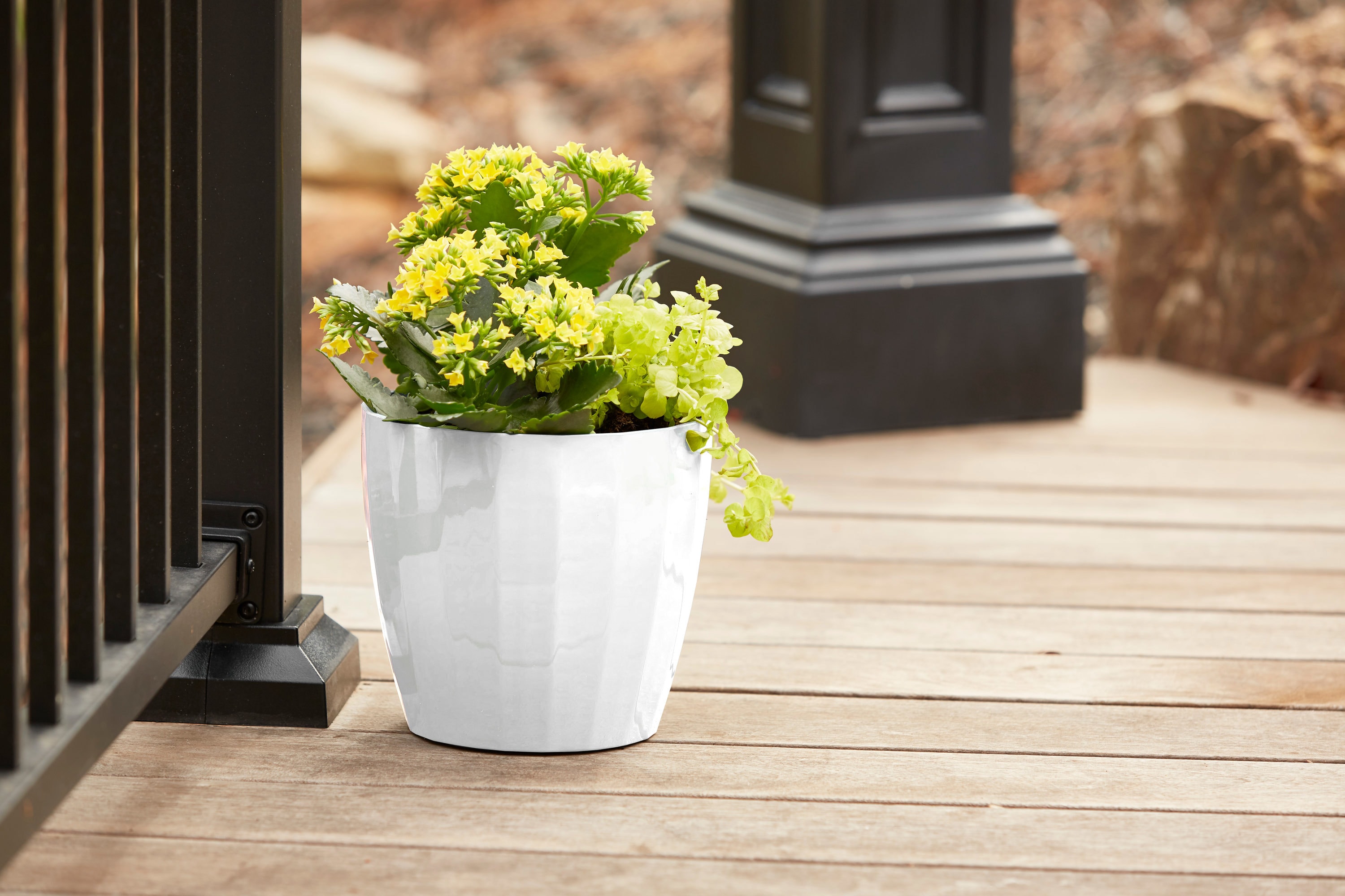 Ready Refill HDR-093817 Planter-Window-Box - View #4