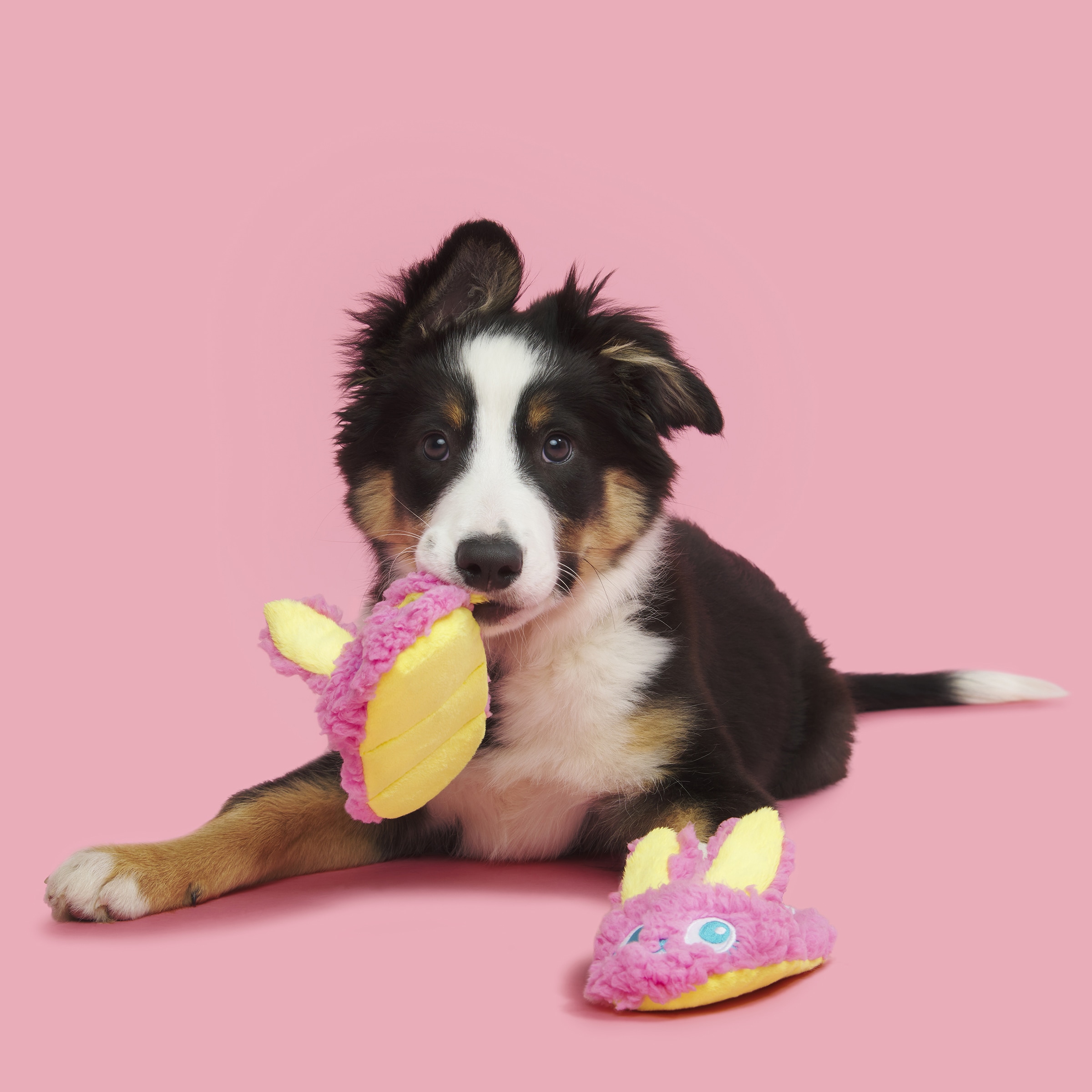 BARK 211768 Dog-Toys - View #3