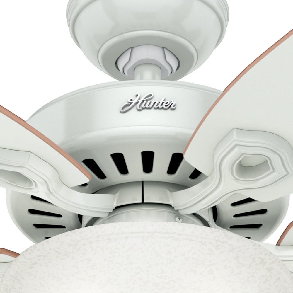 Hunter 53089 Ceiling-Fans - View #20