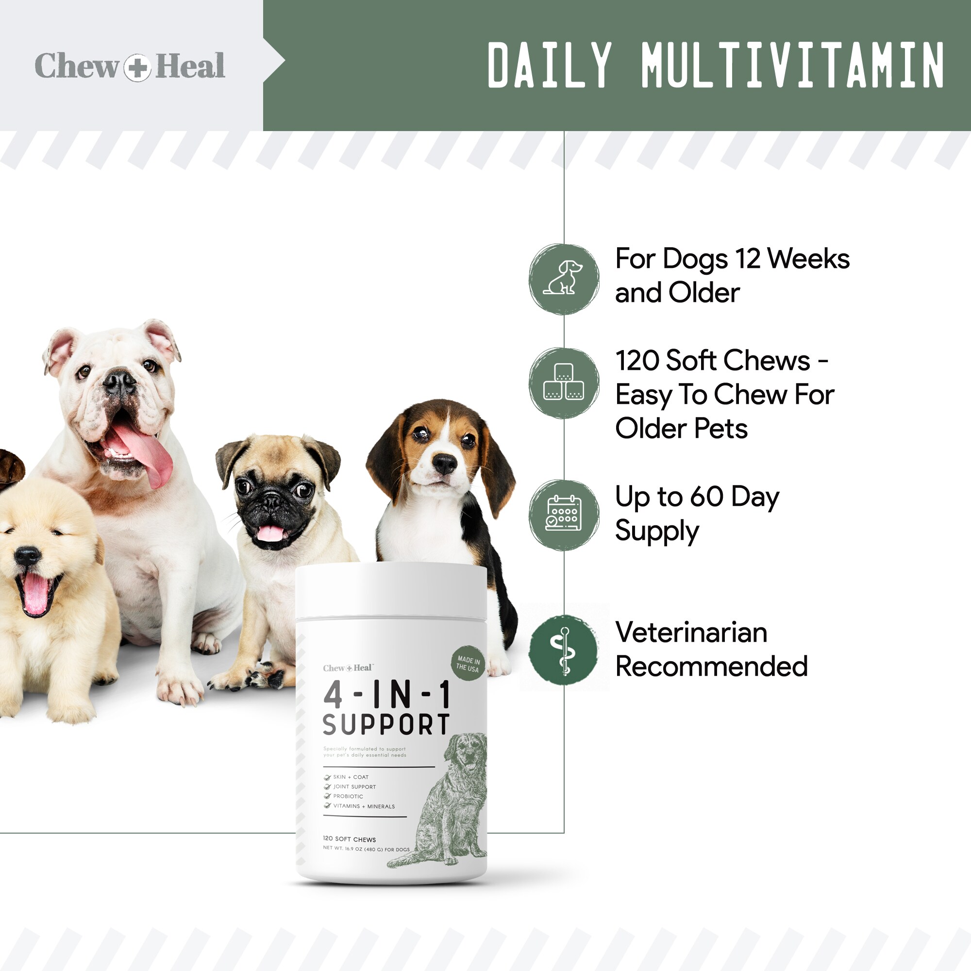 Chew + Heal CH-4-IN-1-SUPPORT-12 Pet-Vitamins-Suppliments - View #4