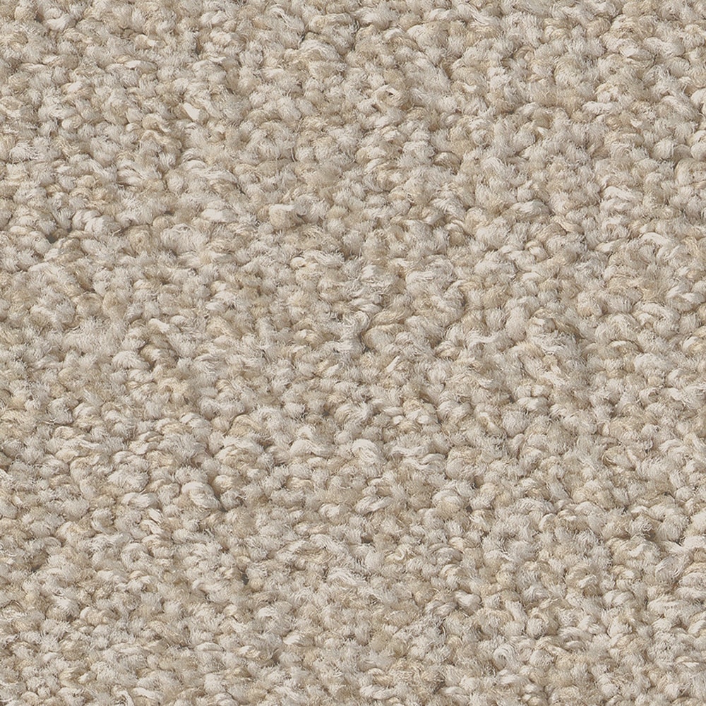 STAINMASTER PetProtect 7L850 - 743 - SAMP (Sample) Carefree Mood Sandstone Brown 43.9-oz sq yard Nylon Pattern Indoor Carpet