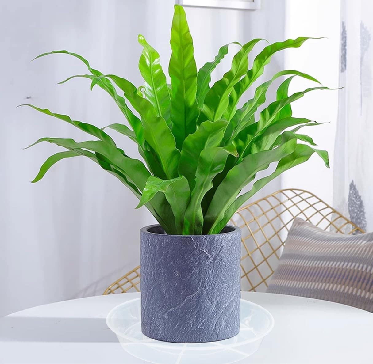Adrinfly LAD0520D014 Planter-Window-Box - View #3